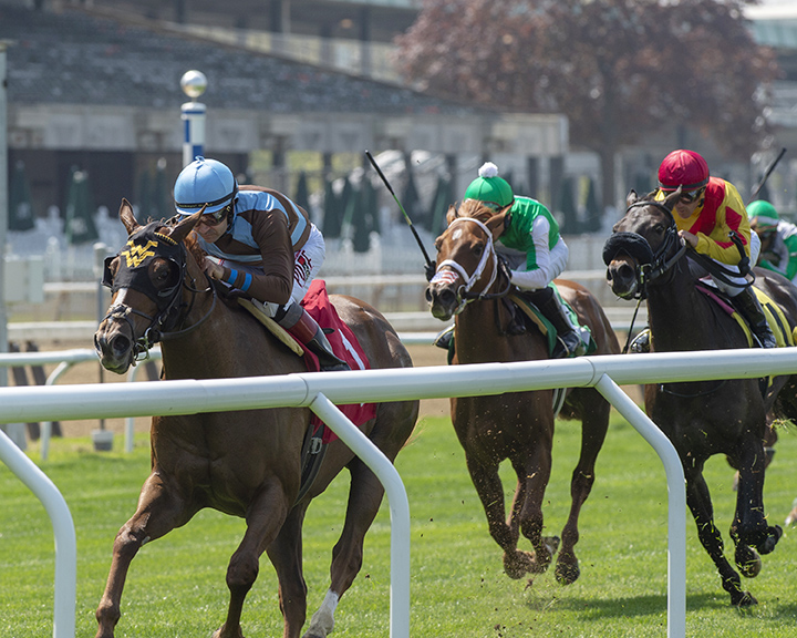 Foolish Humor wins a May 2 maiden race at Belmont Park