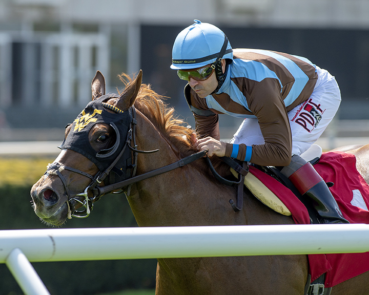 Foolish Humor wins a May 2 maiden race at Belmont Park