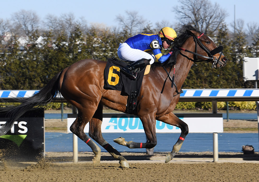 Foolish Ghost wins a March 7 allowance at Aqueduct Racetrack