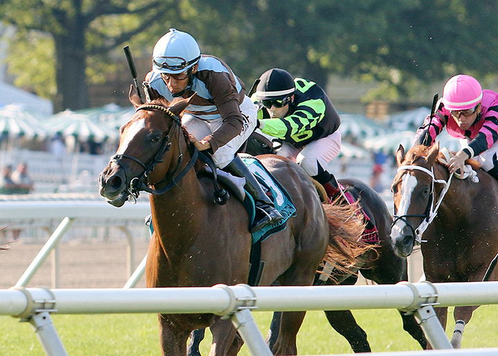 Foolish Humor wins the 2019 Colleen Stakes at Monmouth Park