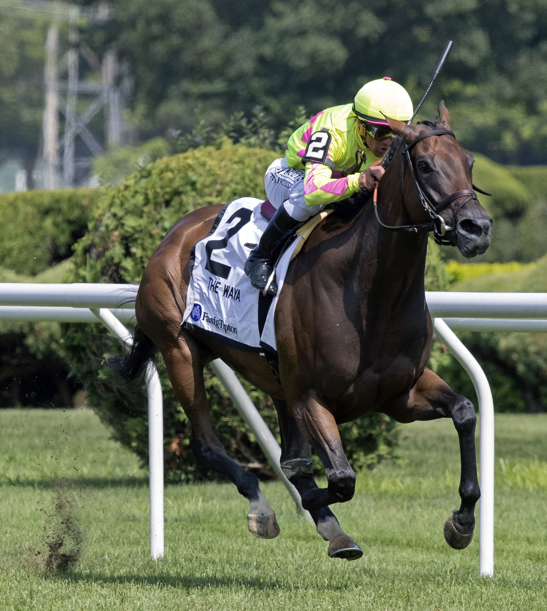 Fools Gold wins the 2019 Waya Stakes