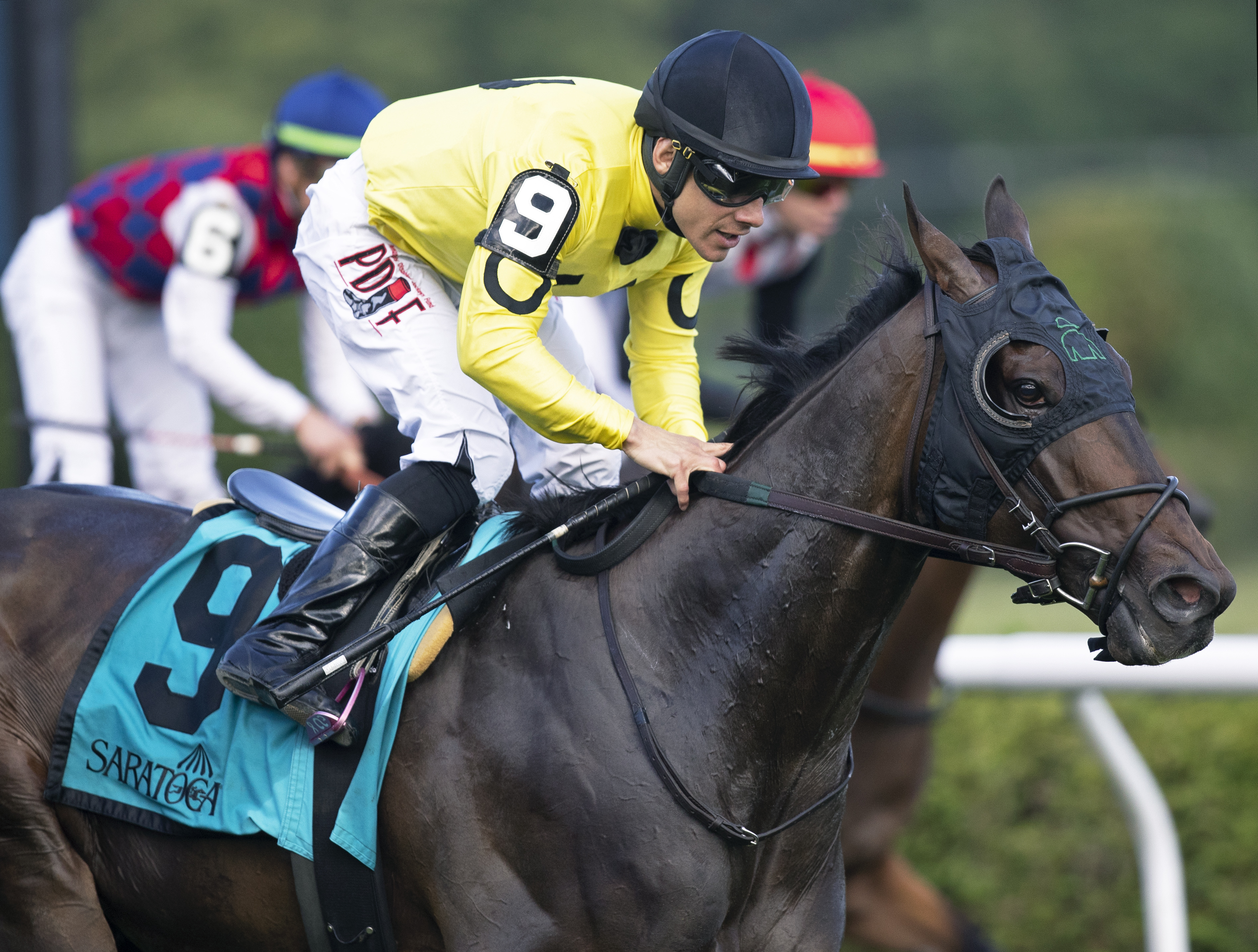 Mr Havercamp wins the 2019 Forbidden Apple Stakes