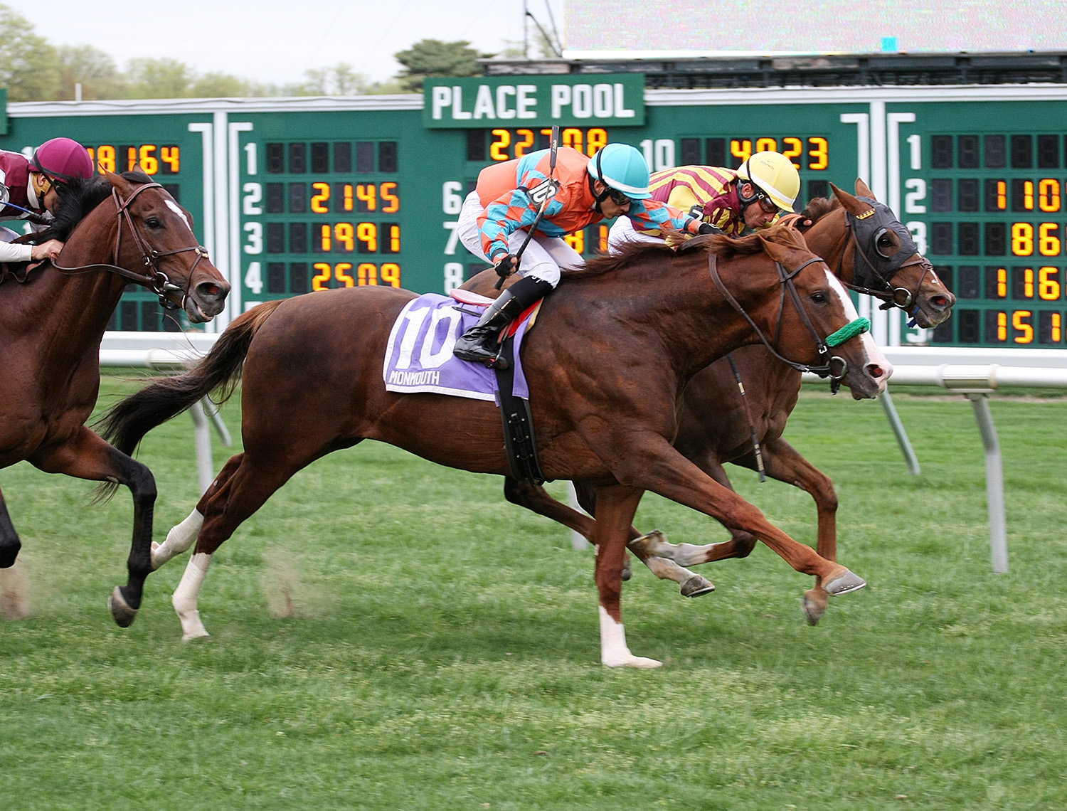 Force the Pass wins the 2018 Cliff Hanger Stakes