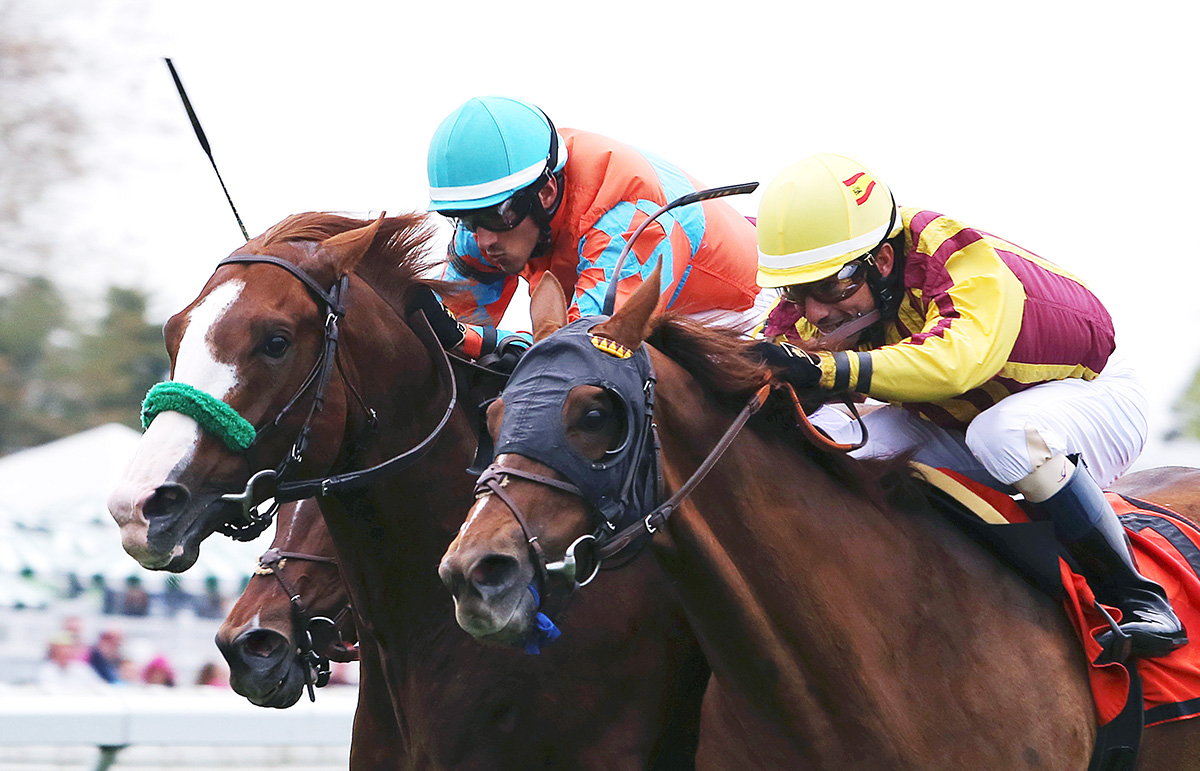 Irish Strait finishes second in the 2018 Cliff Hanger Stakes