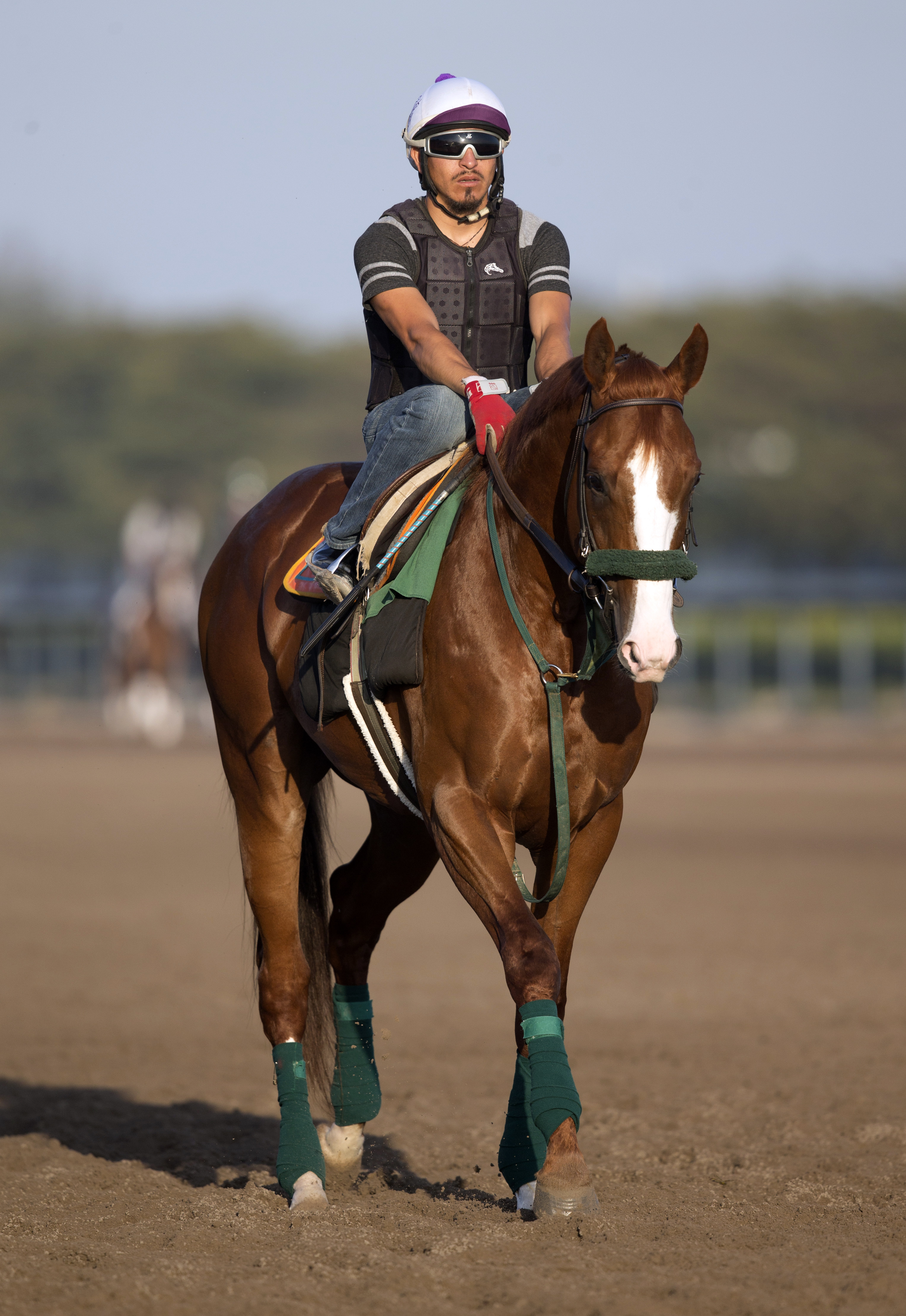 Force the Pass at Palm Meadows in March