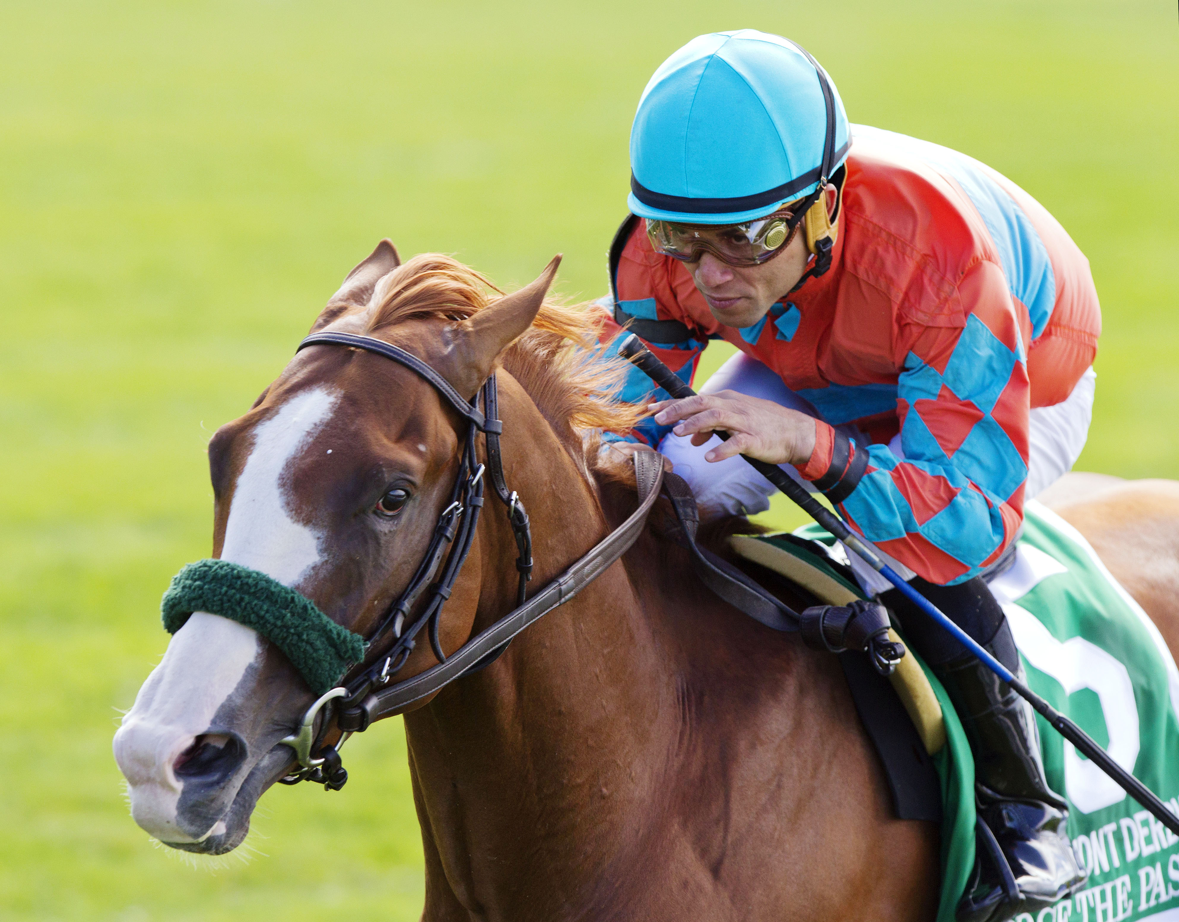 Force the Pass wins the Belmont Derby