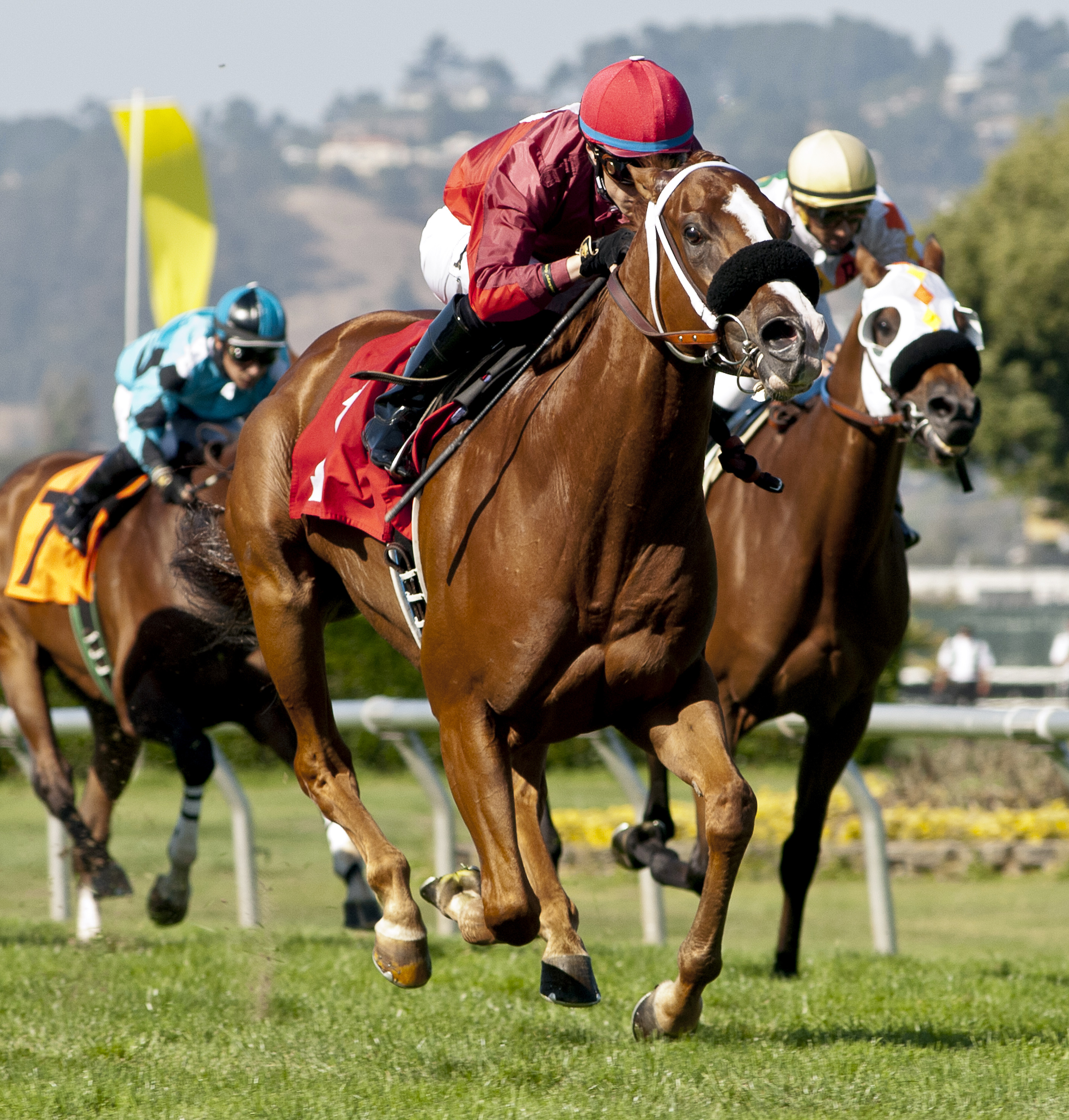 Force wins the 2017 Rolling Green Stakes
