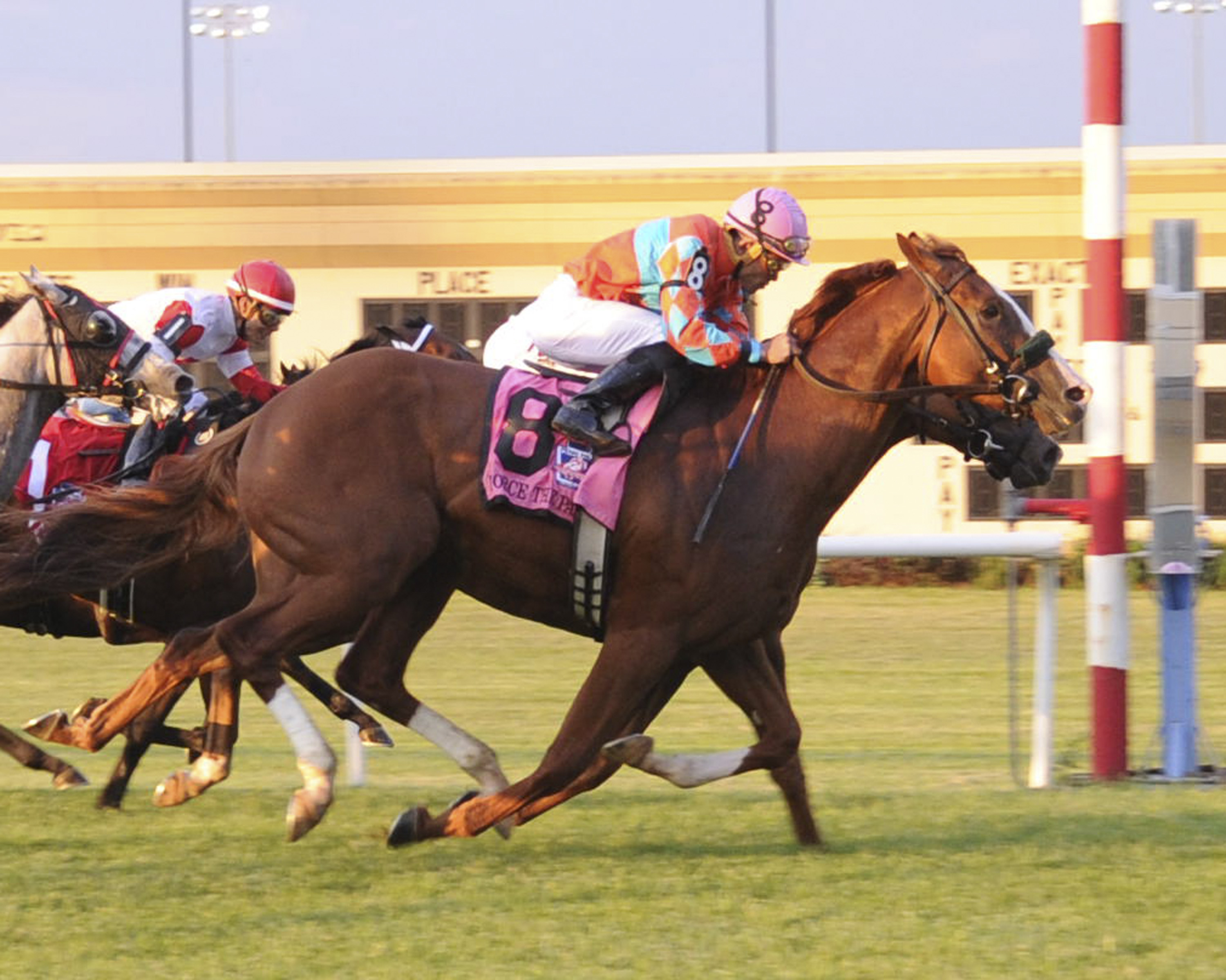 Force the Pass 5-30-2015