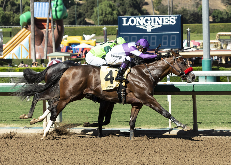 Fore Left wins the 2019 Sunny Slope Stakes
