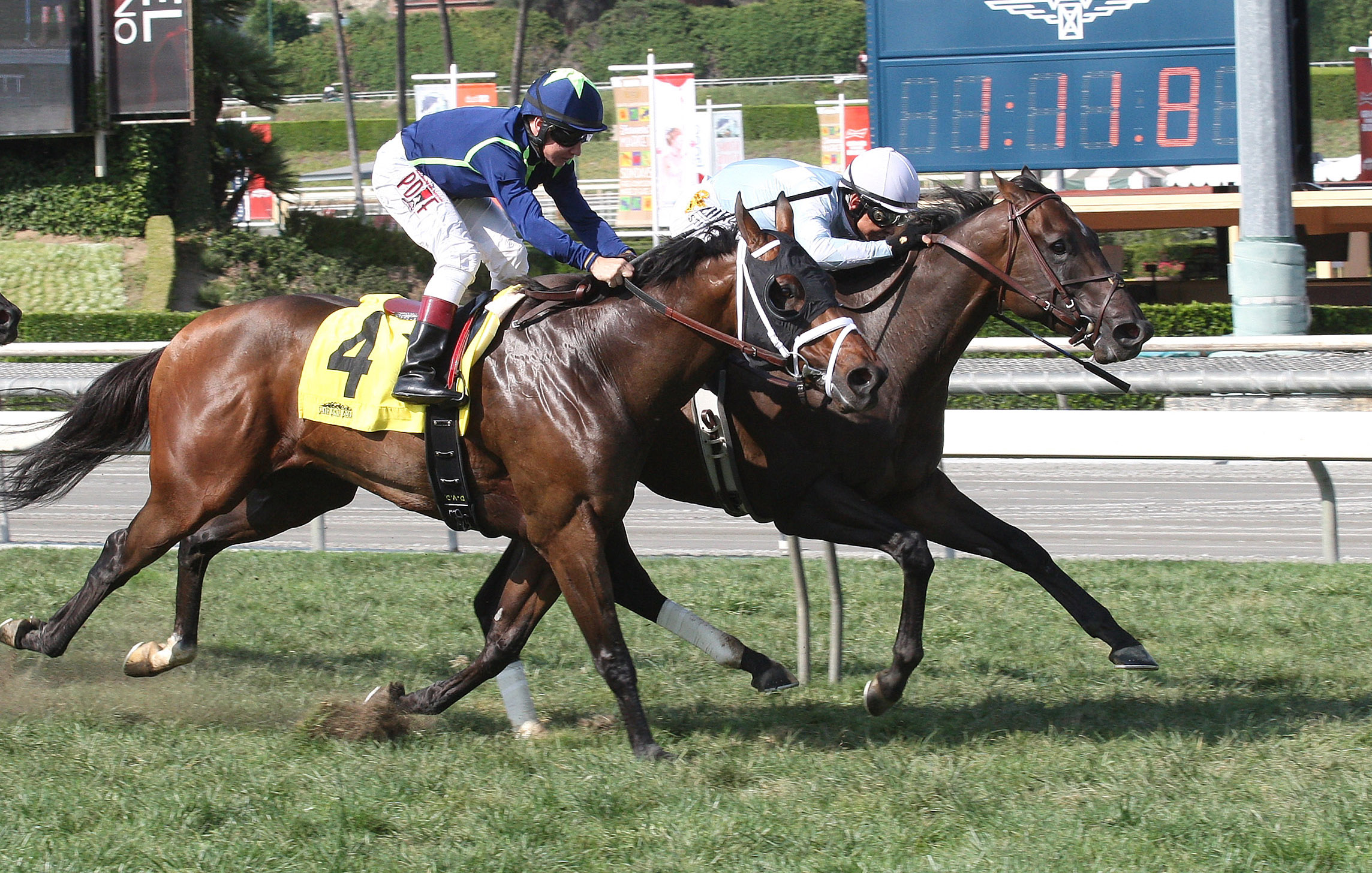 Forest Chatter wins the California Flag Handicap