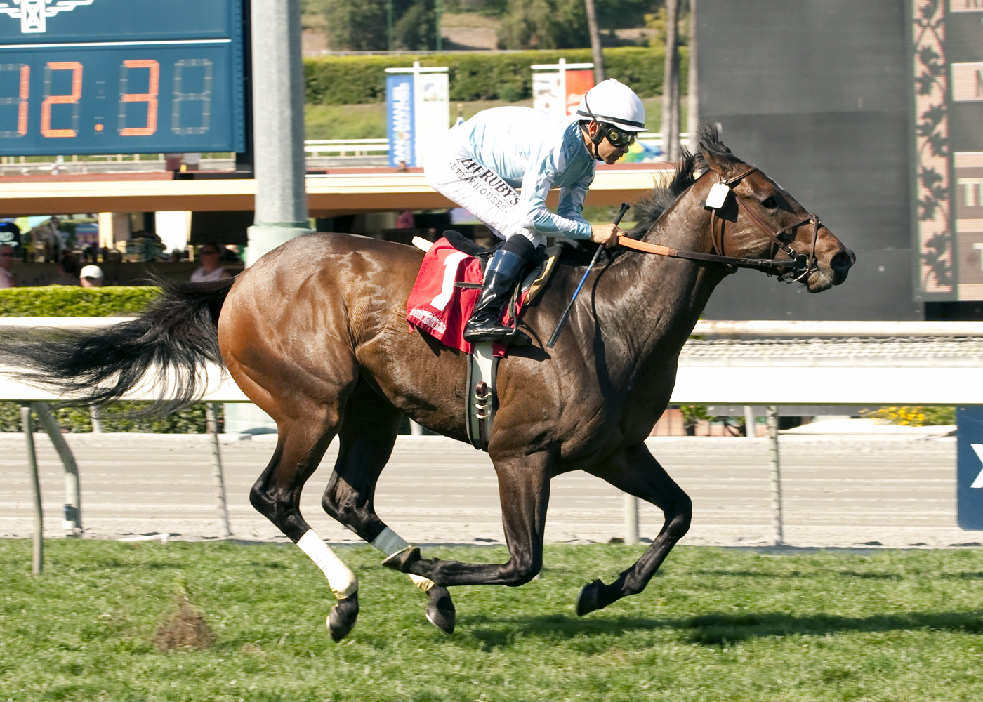 Forest Chatter wins an optional claimer
