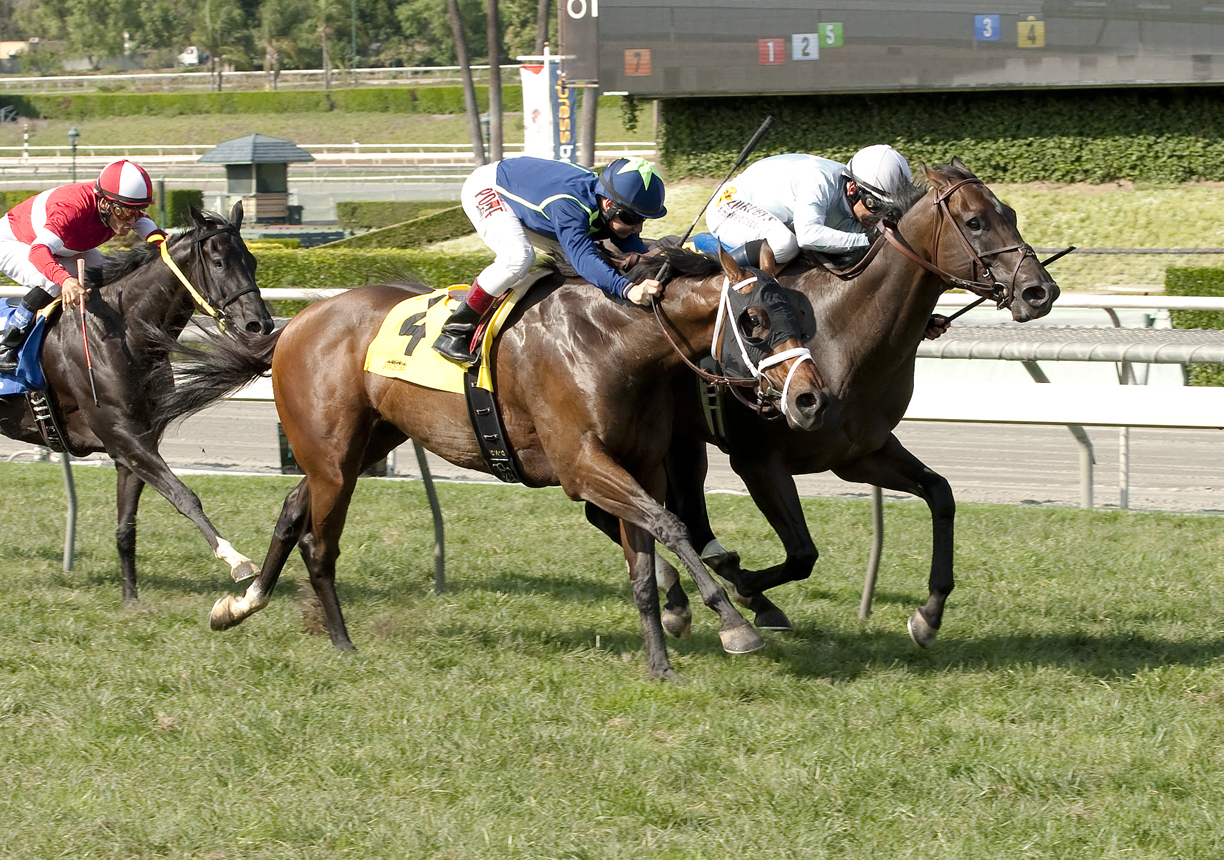 Forest Chatter wins the California Flag