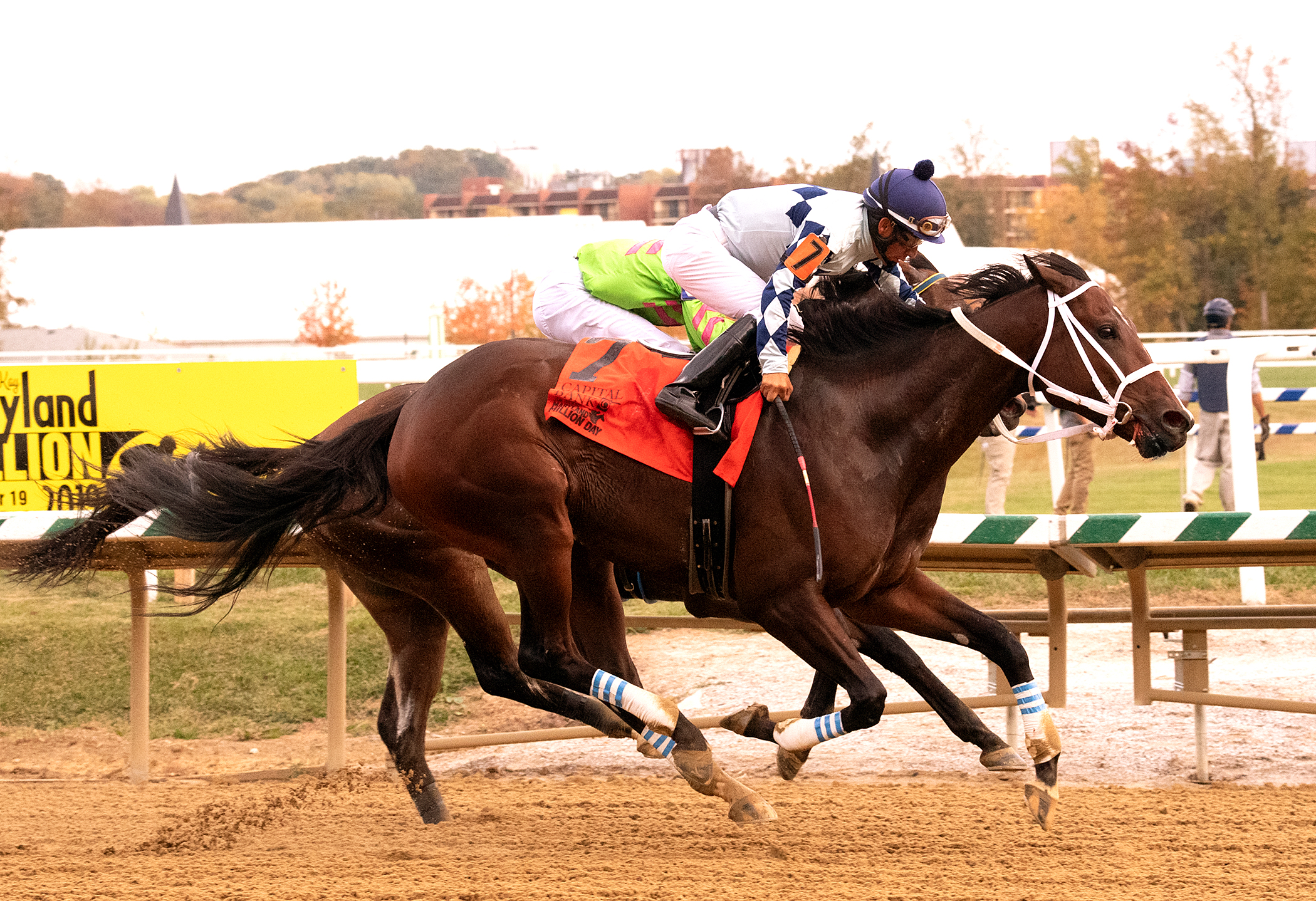 Forest Fire/Maryland Million Classic