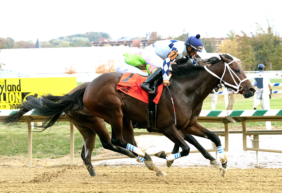 Forest Fire wins the 2019 Maryland Millions Classic at Laurel Park