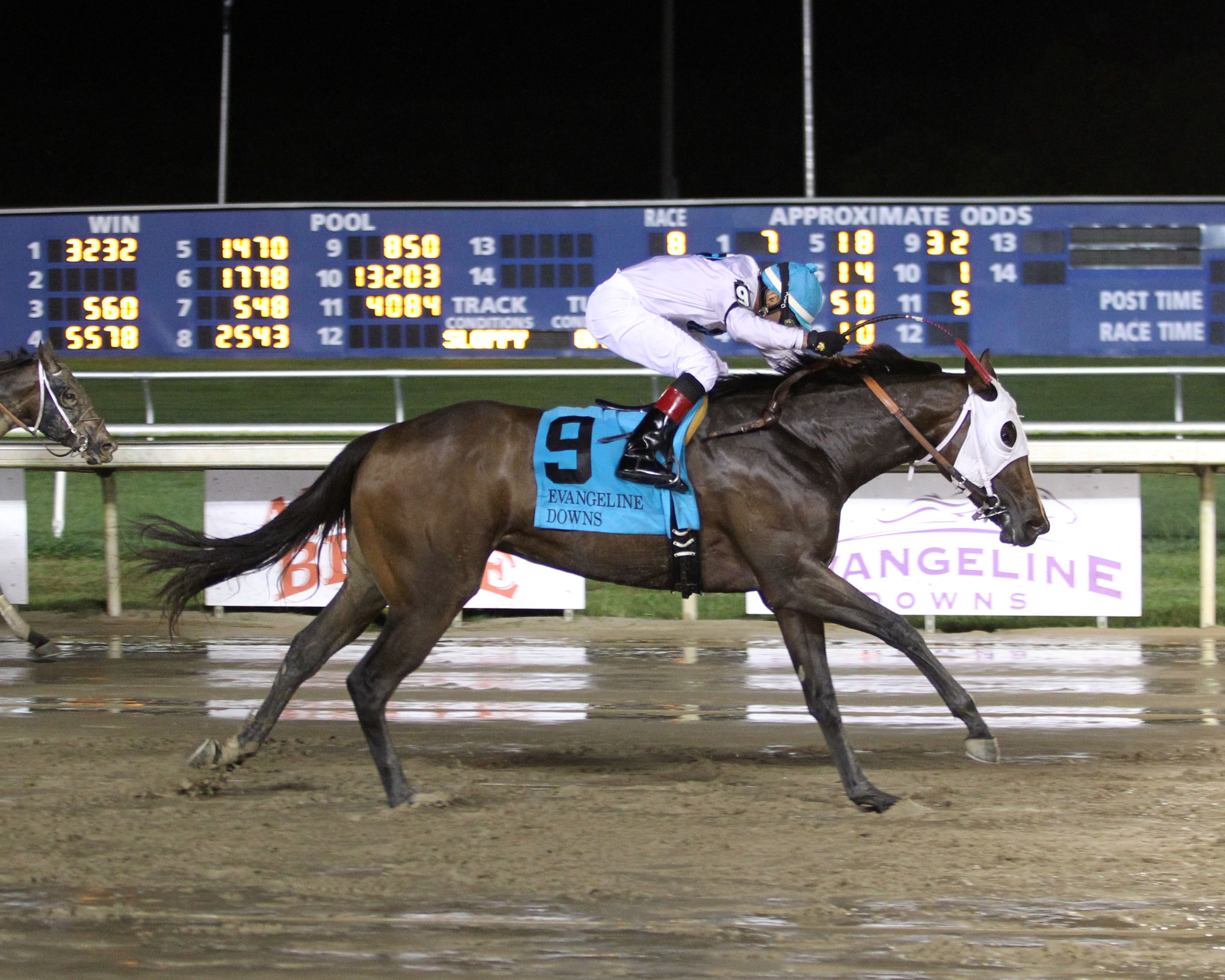 Forest Lake wins 2014 Starlet