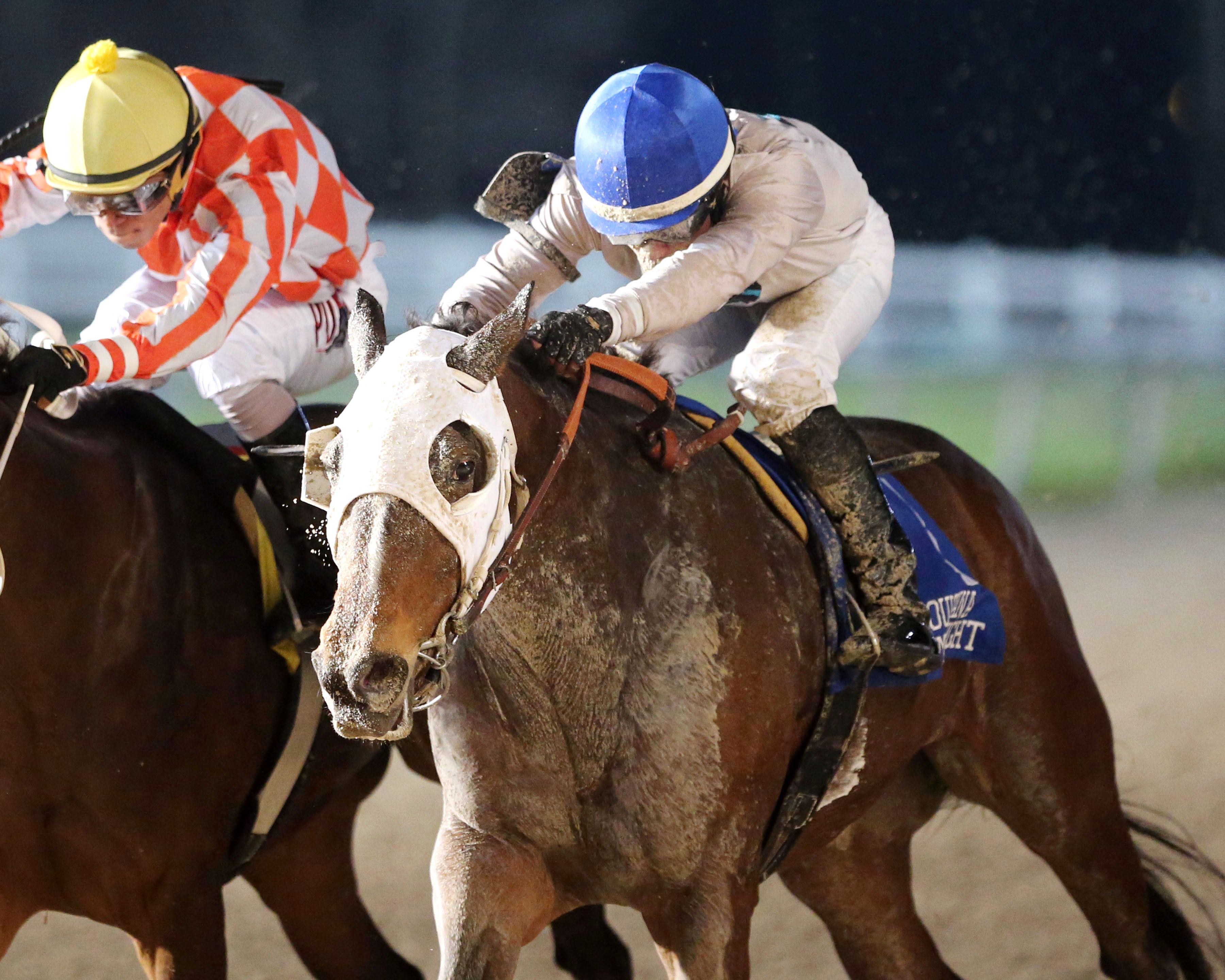 Forest Lake wins the Louisiana-bred Premier Night Distaff Stakes