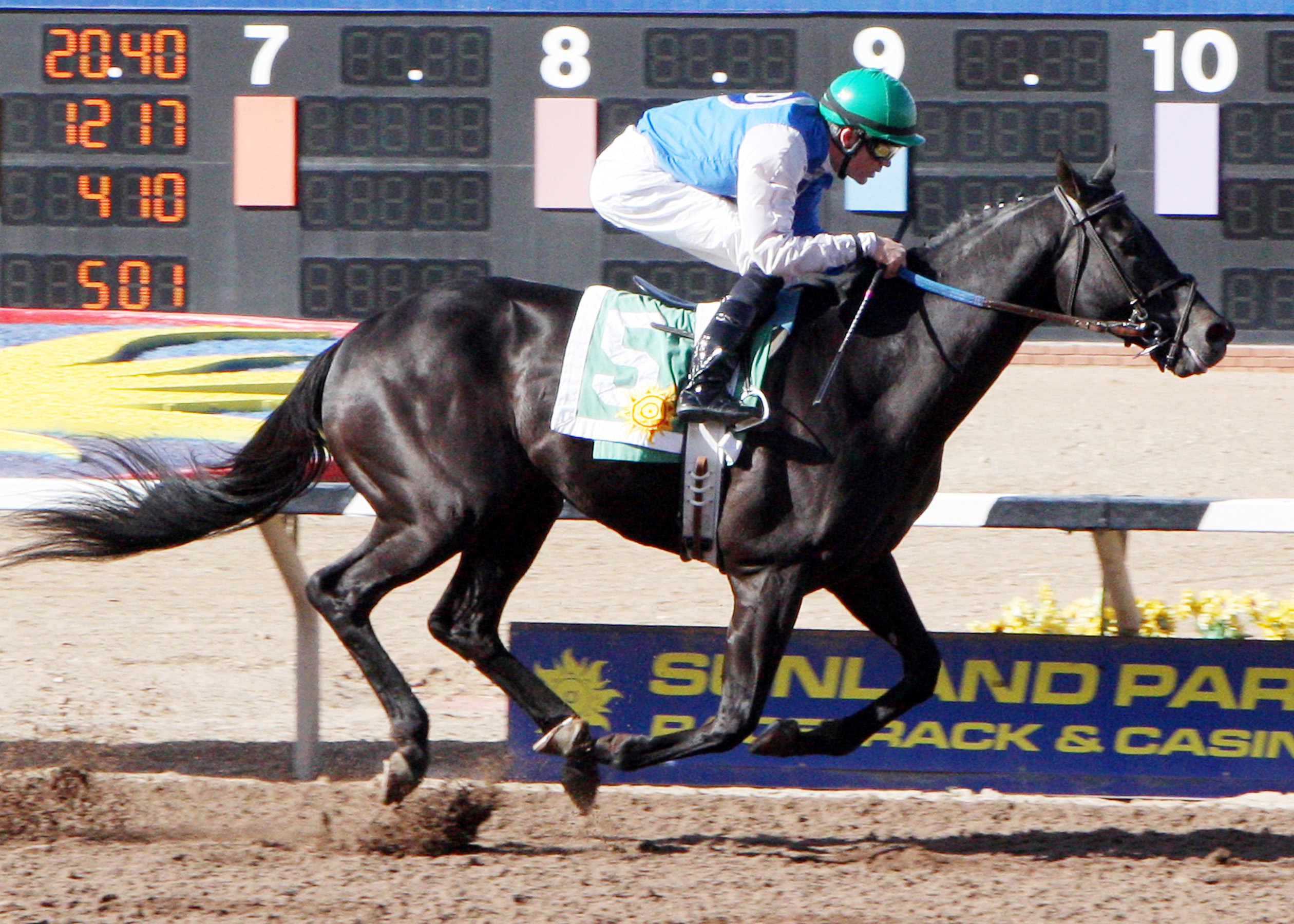 Forest Mouse wins the 2013 Sunland Park Handicap