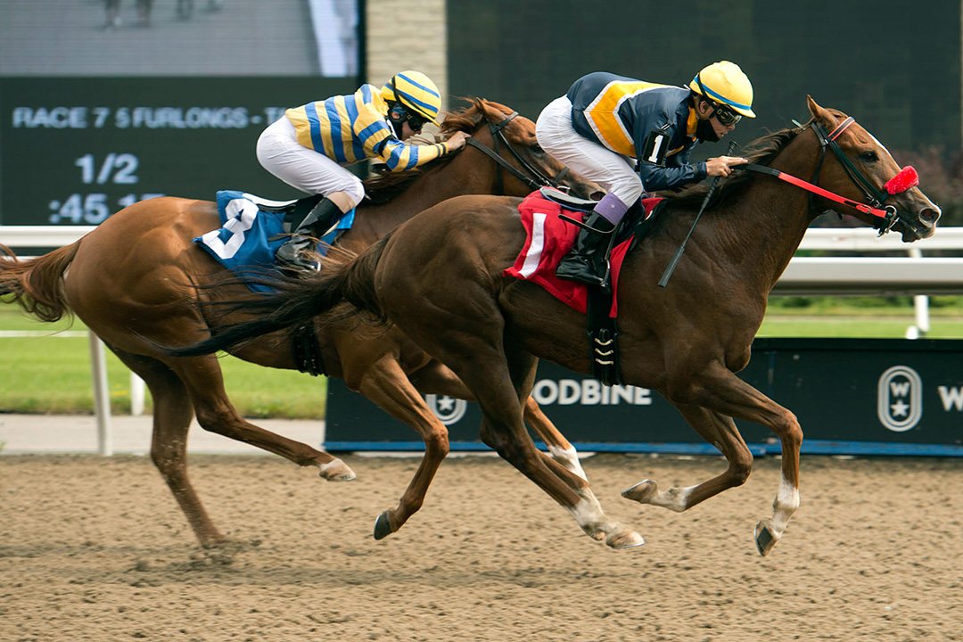 Forester's Fortune wins a July 19 optional claimer at Woodbine