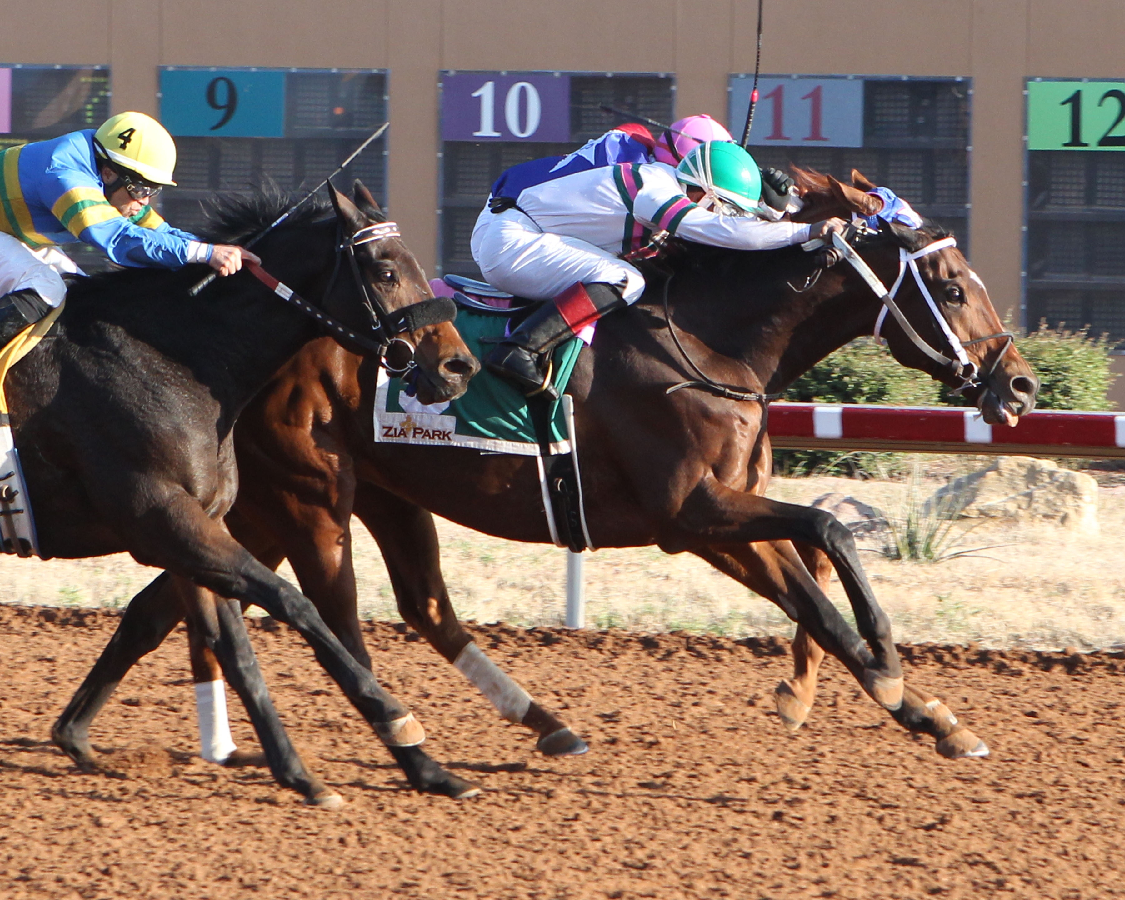 Forevamo (center) wins the 2018 Zia Park Championship