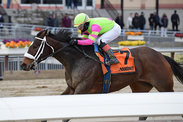 Forever Liesl wins the 2019 Ladies Handicap at Aqueduct