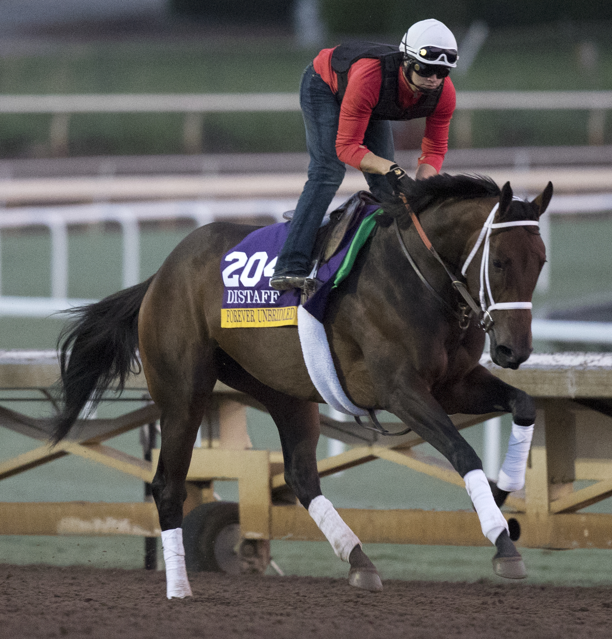 Forever Unbridled