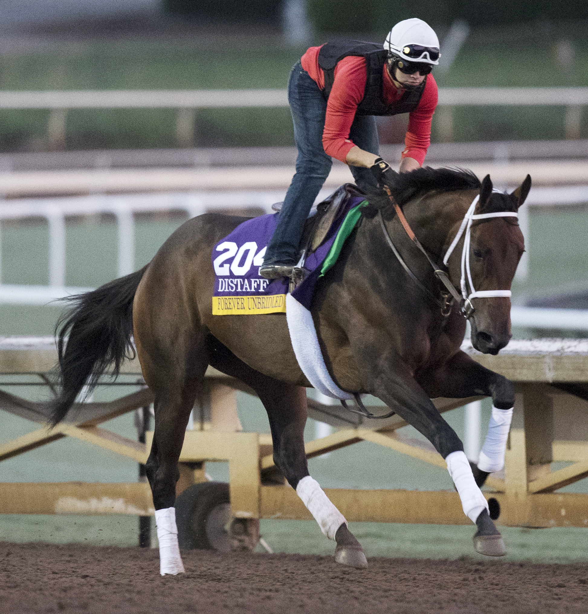 Forever Unbridled at Santa Anita on Oct. 31