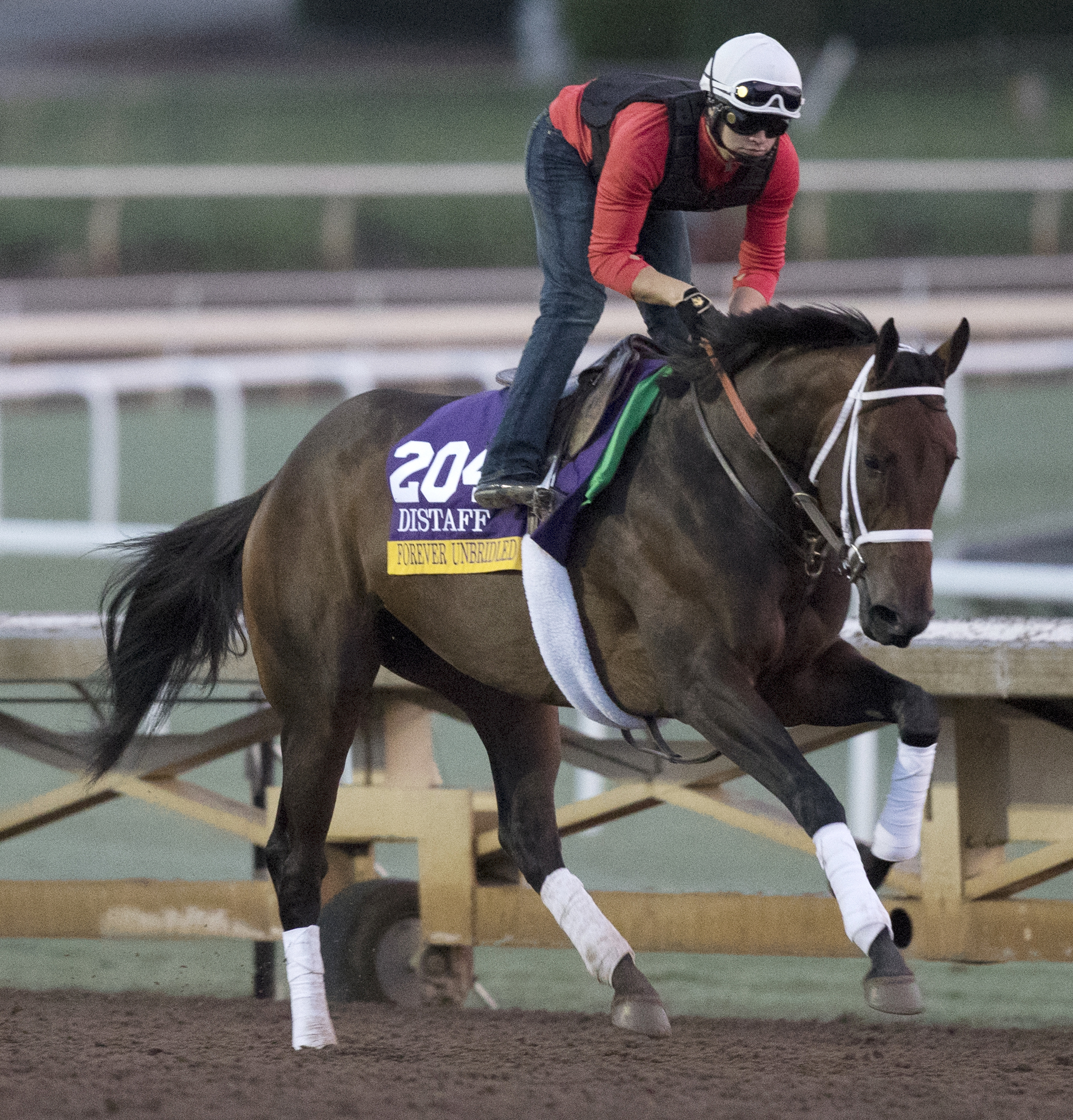 Forever Unbridled at Santa Anita on Oct. 31