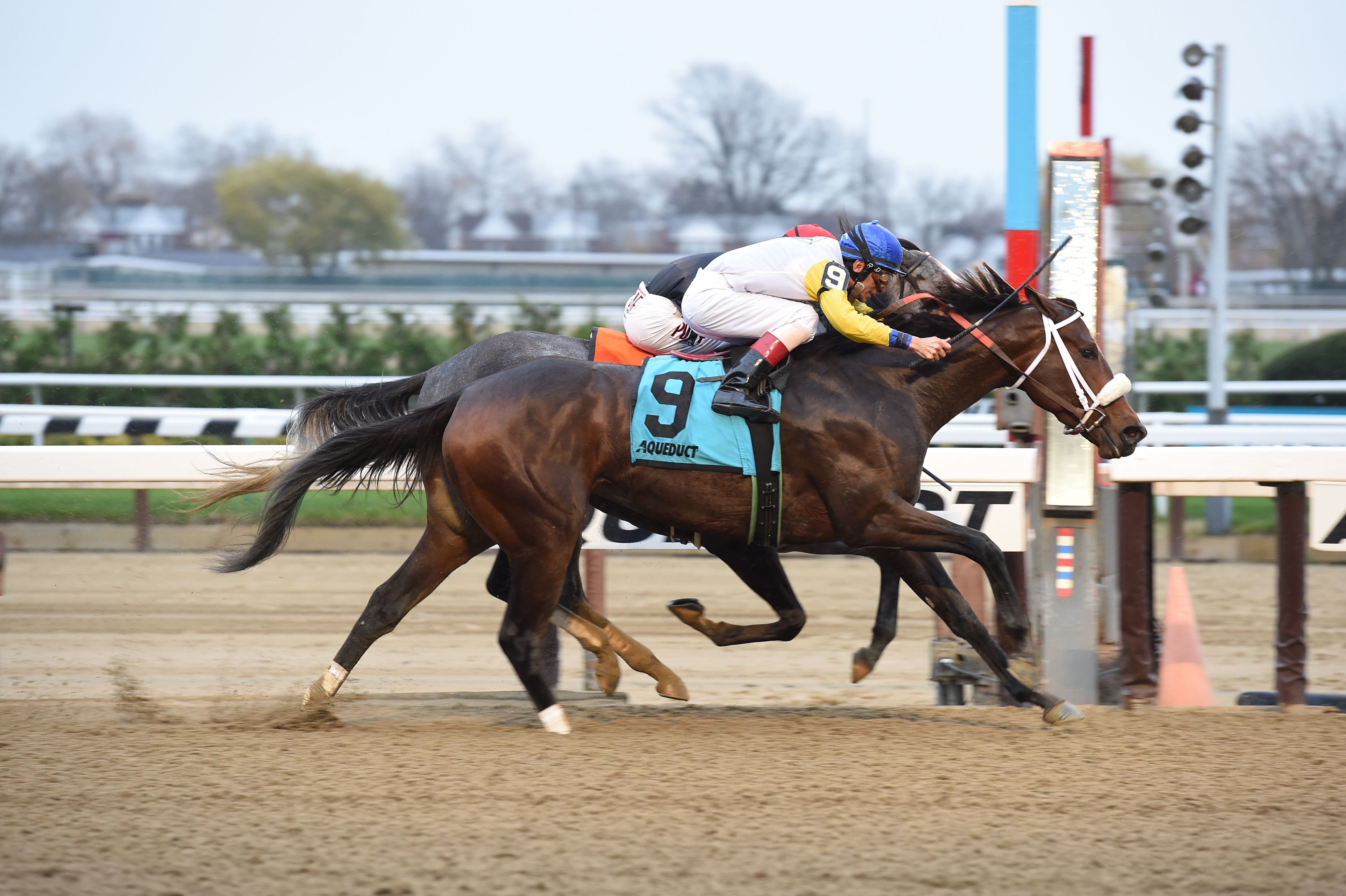 Forever Unbridled