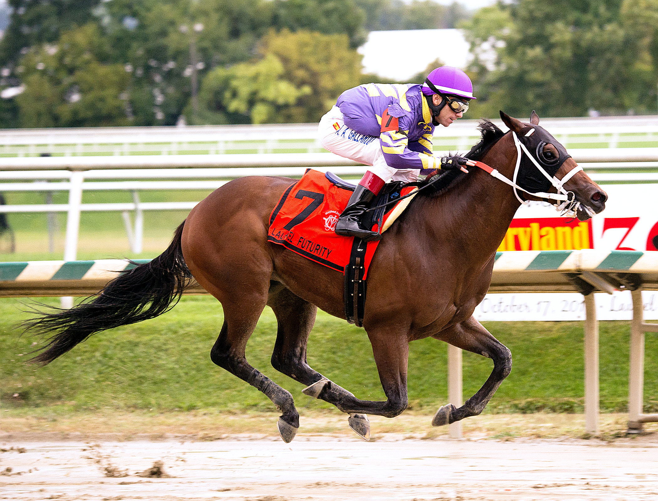 Formal Summation wins the Laurel Futurity