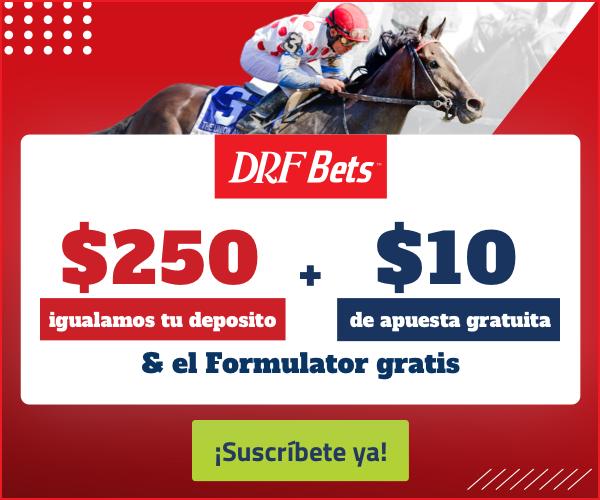 Promo DRF en Español