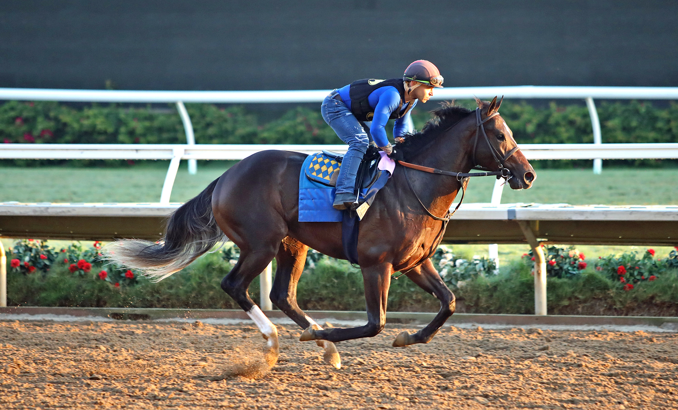 Fort Bragg trains at Santa Anita Sept 3 2022