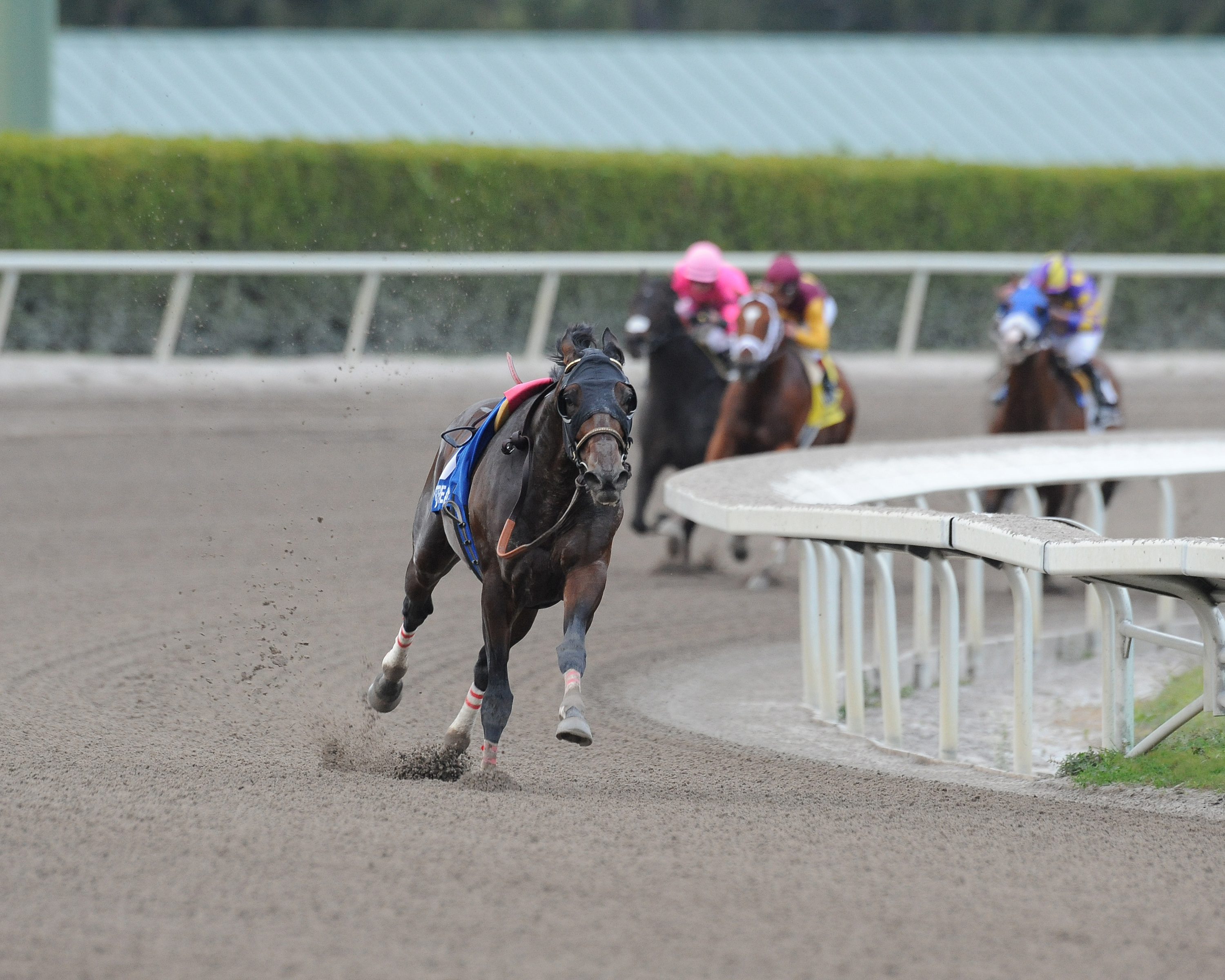 Fort Larned loose on track