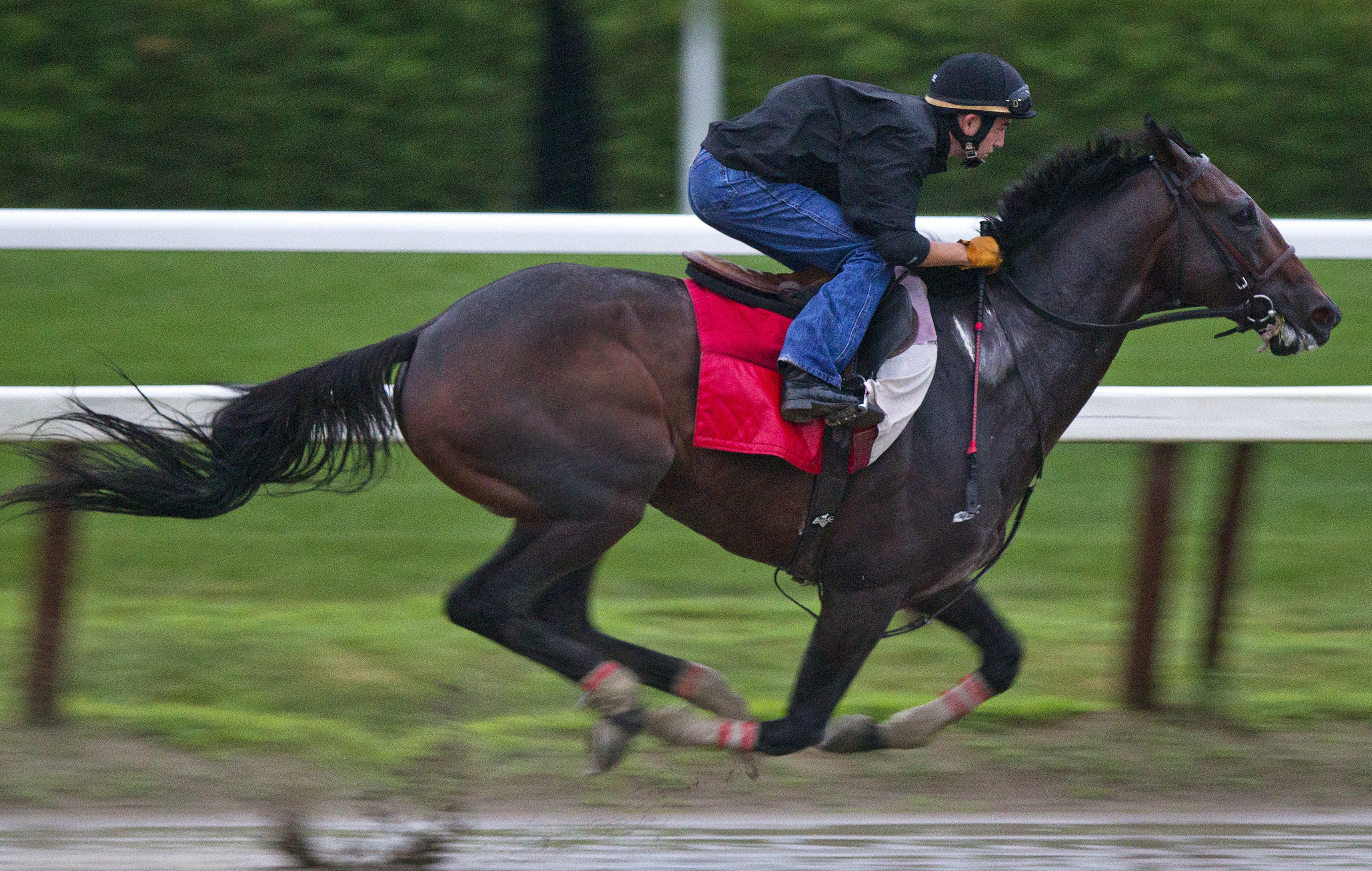 Fort Larned training July 23