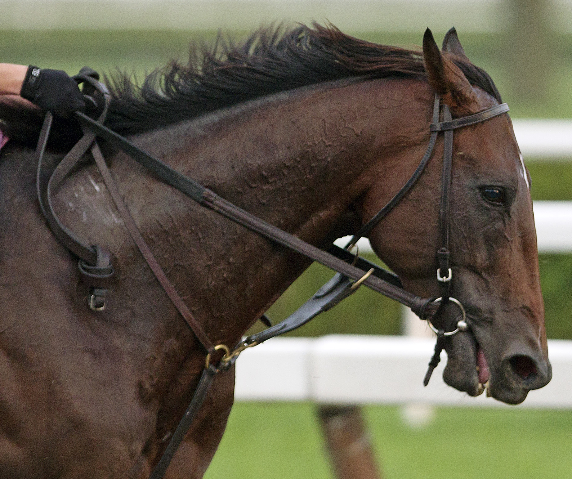 Fort Larned
