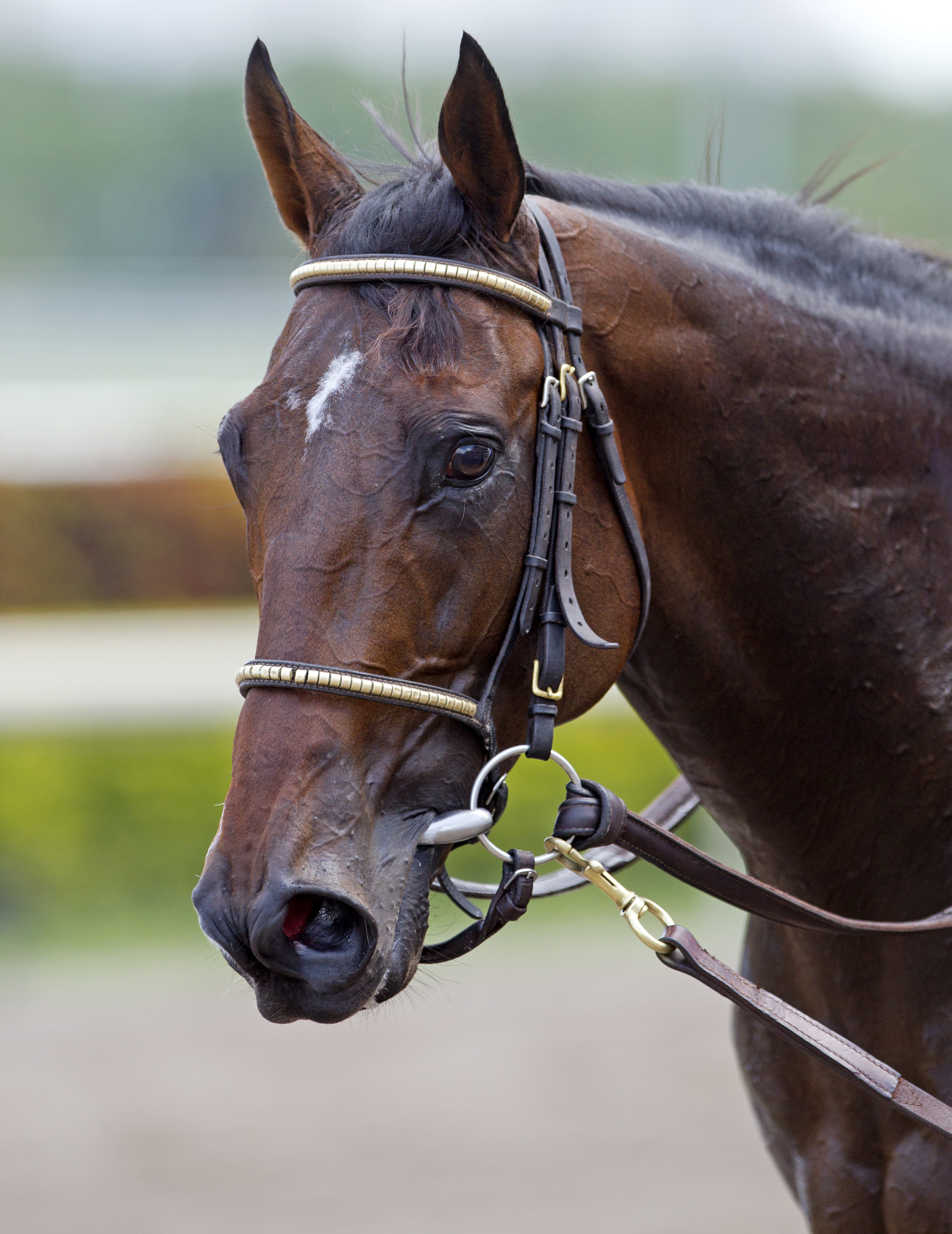 Fort Larned