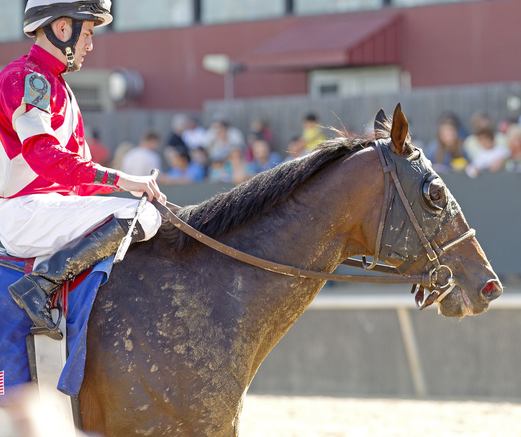 Fort Larned, Oaklawn Handicap