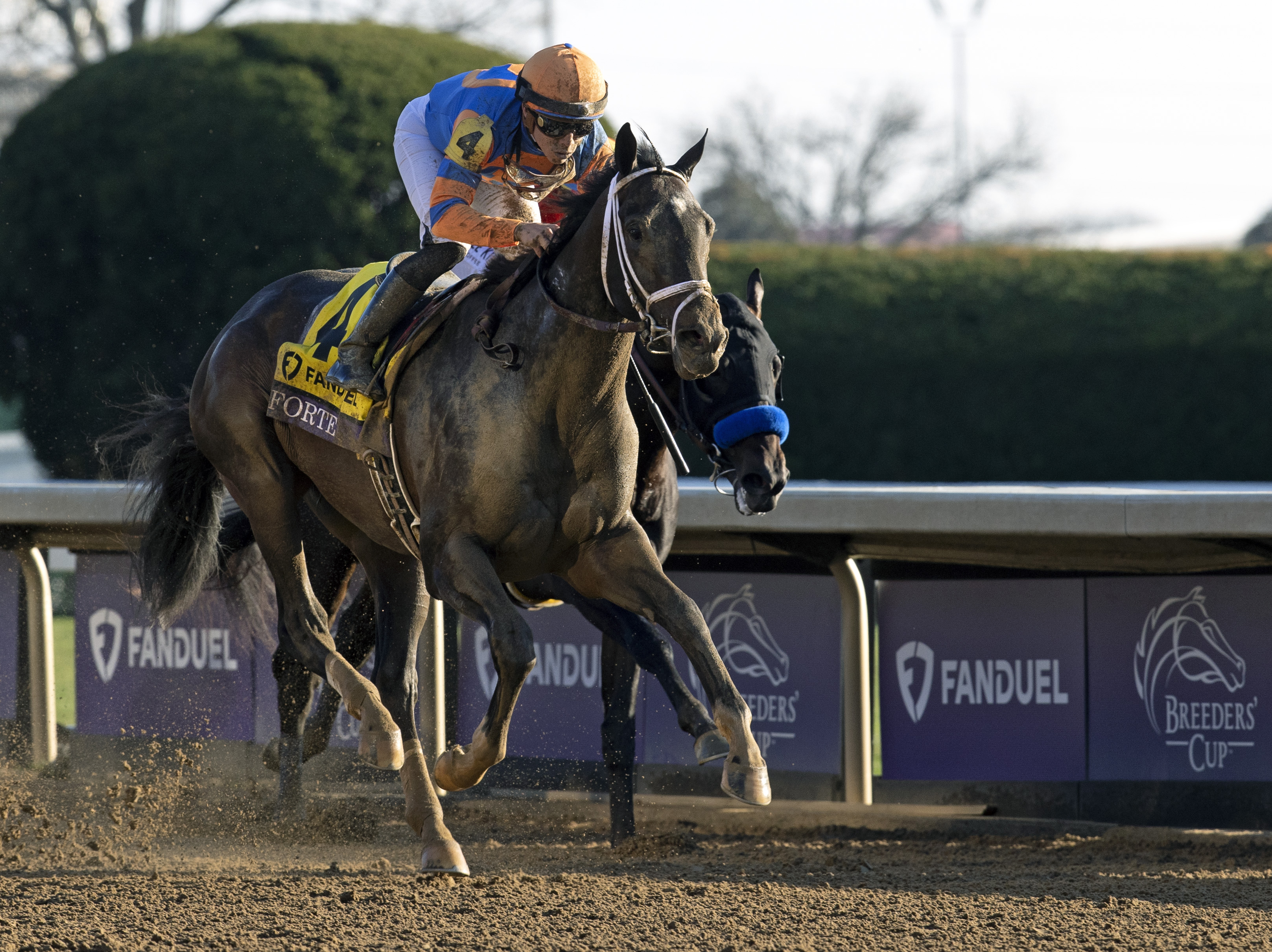 Forte - Breeders' Cup Juvenile 2022
