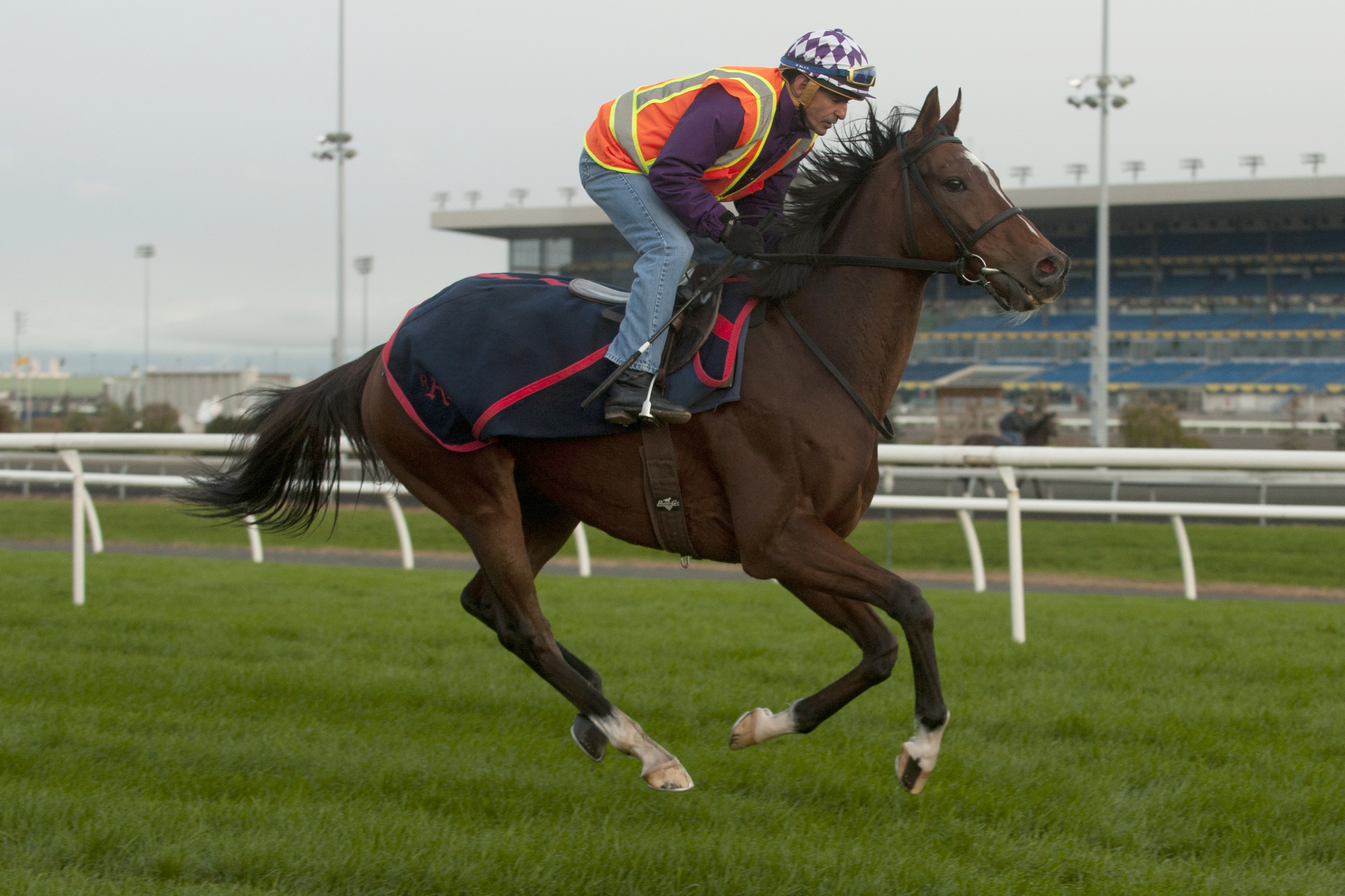 Forte Dei Marmi trains at Woodbine