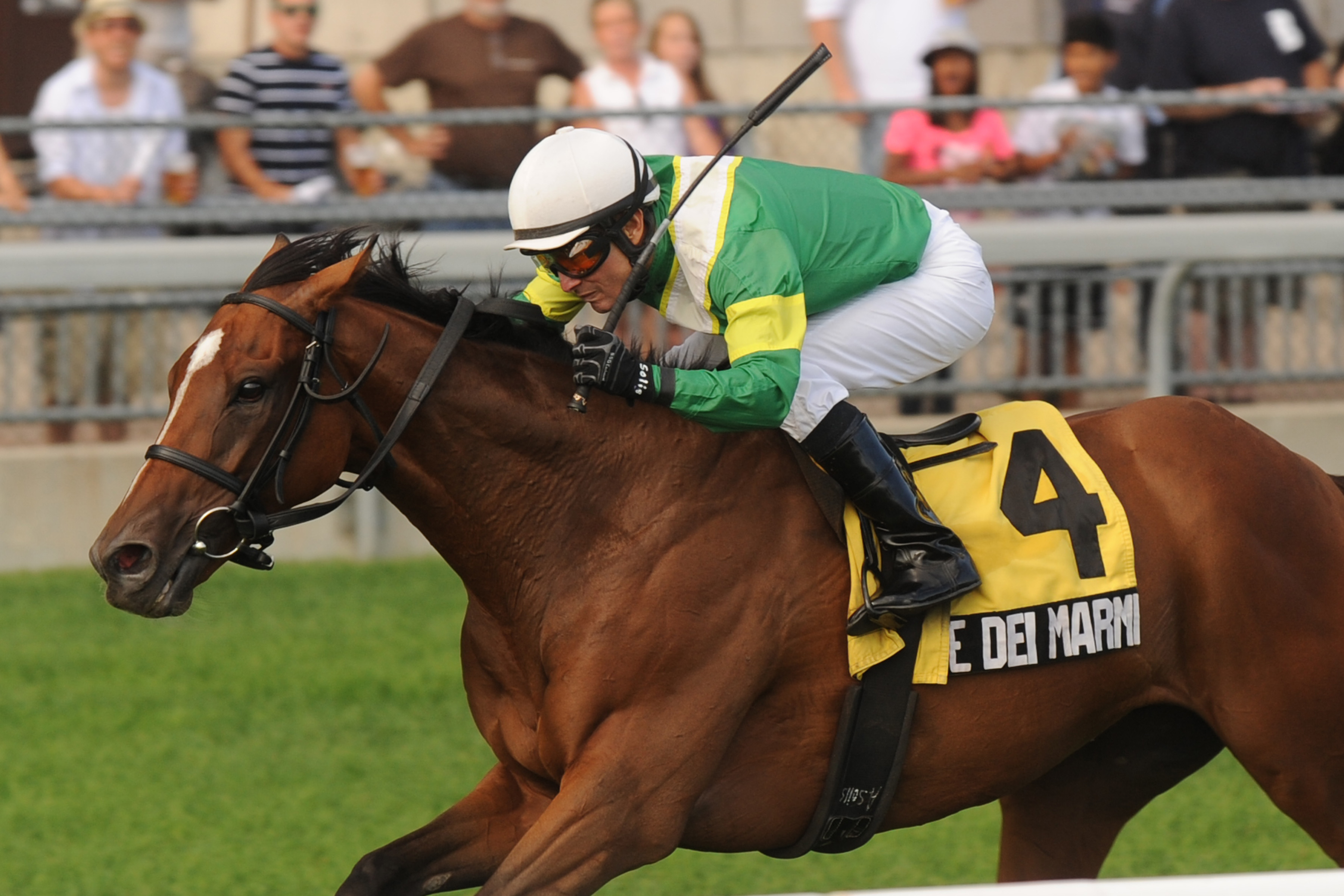 Forte Dei Marmi/Sky Classic Stakes