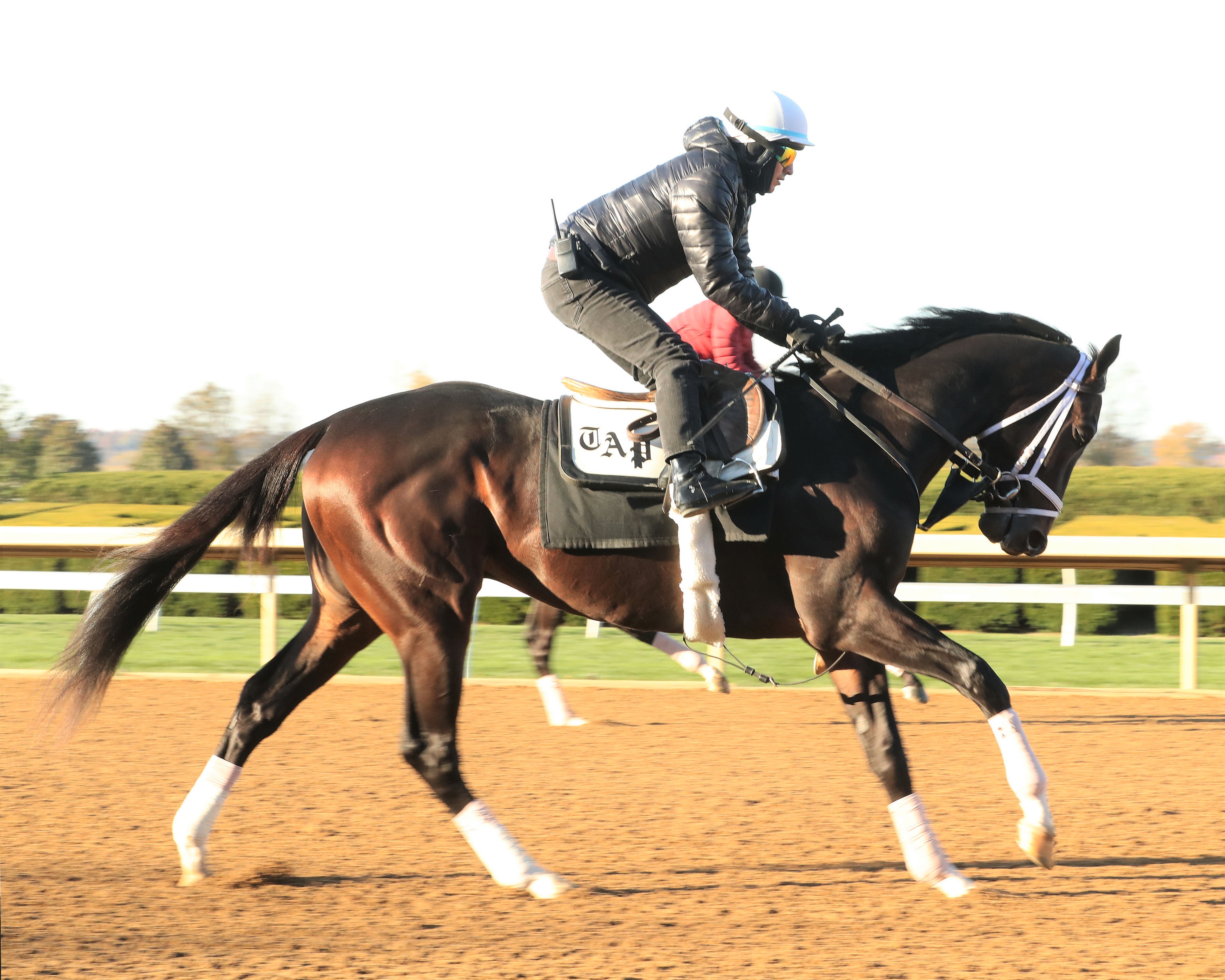 Forte at Keeneland Oct 20 2022