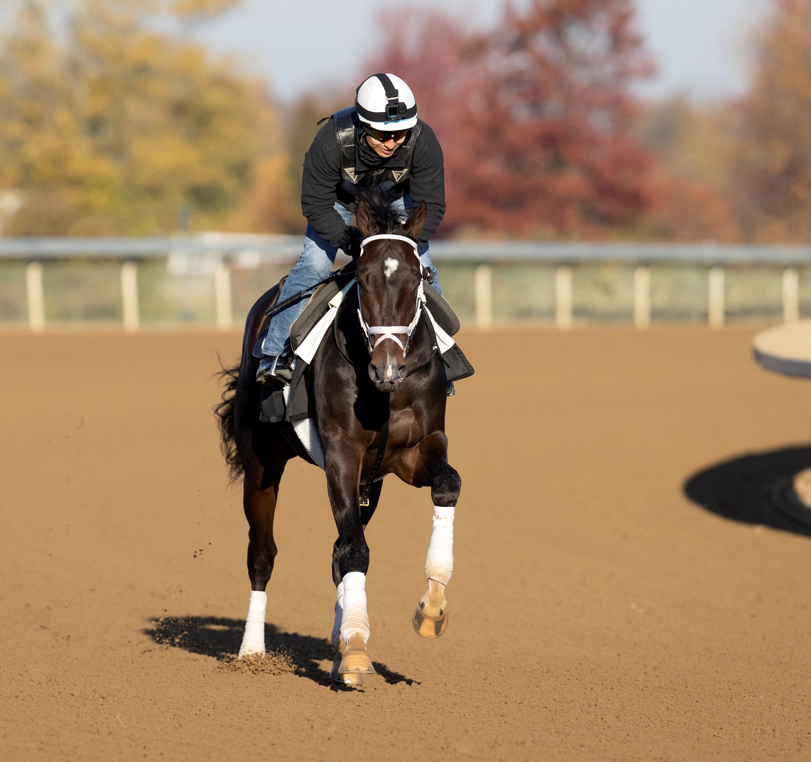 Forte trains at Keeneland Oct 24 2022