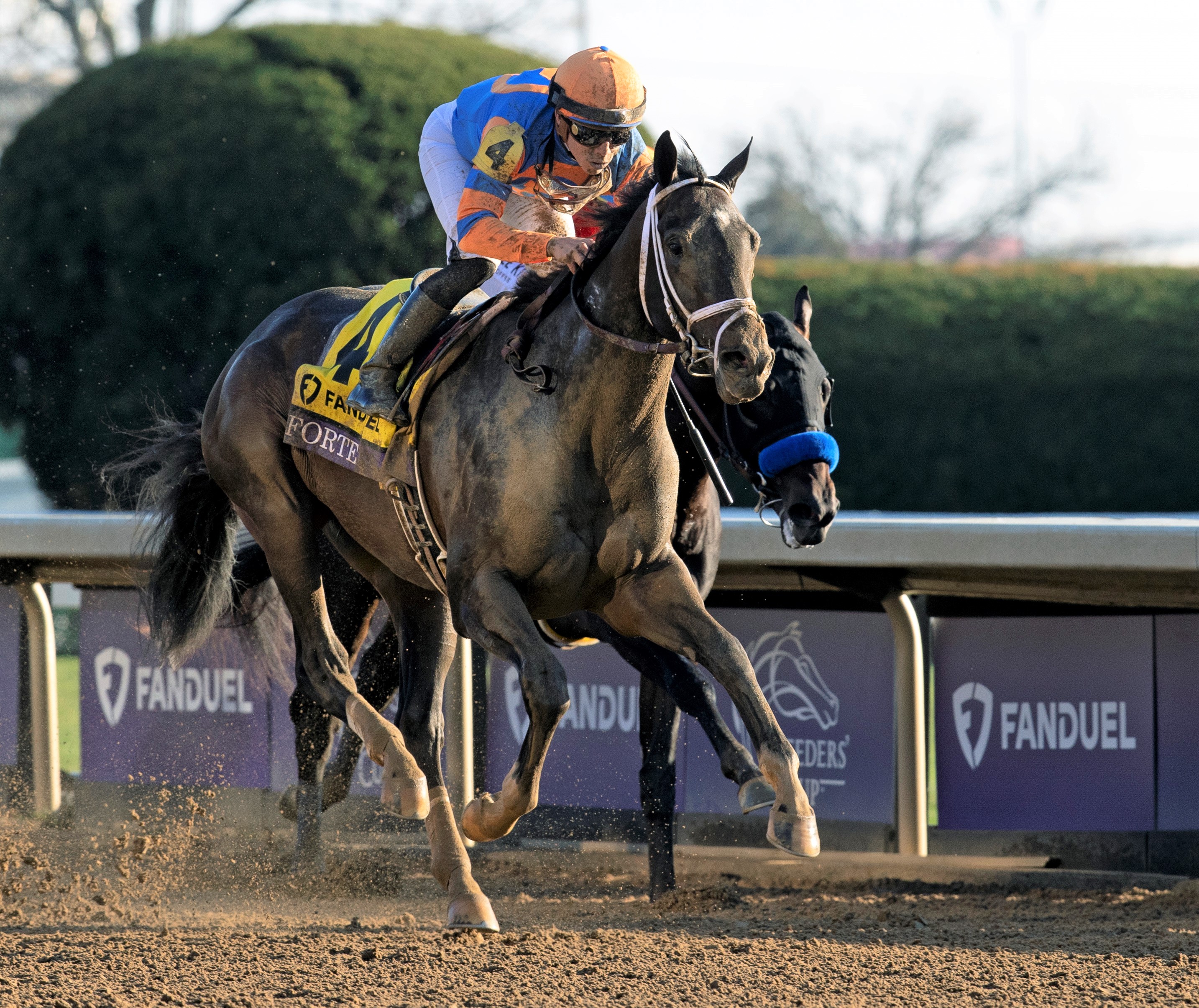 Forte wins the BC Juvenile at Keeneland Nov 4 2022