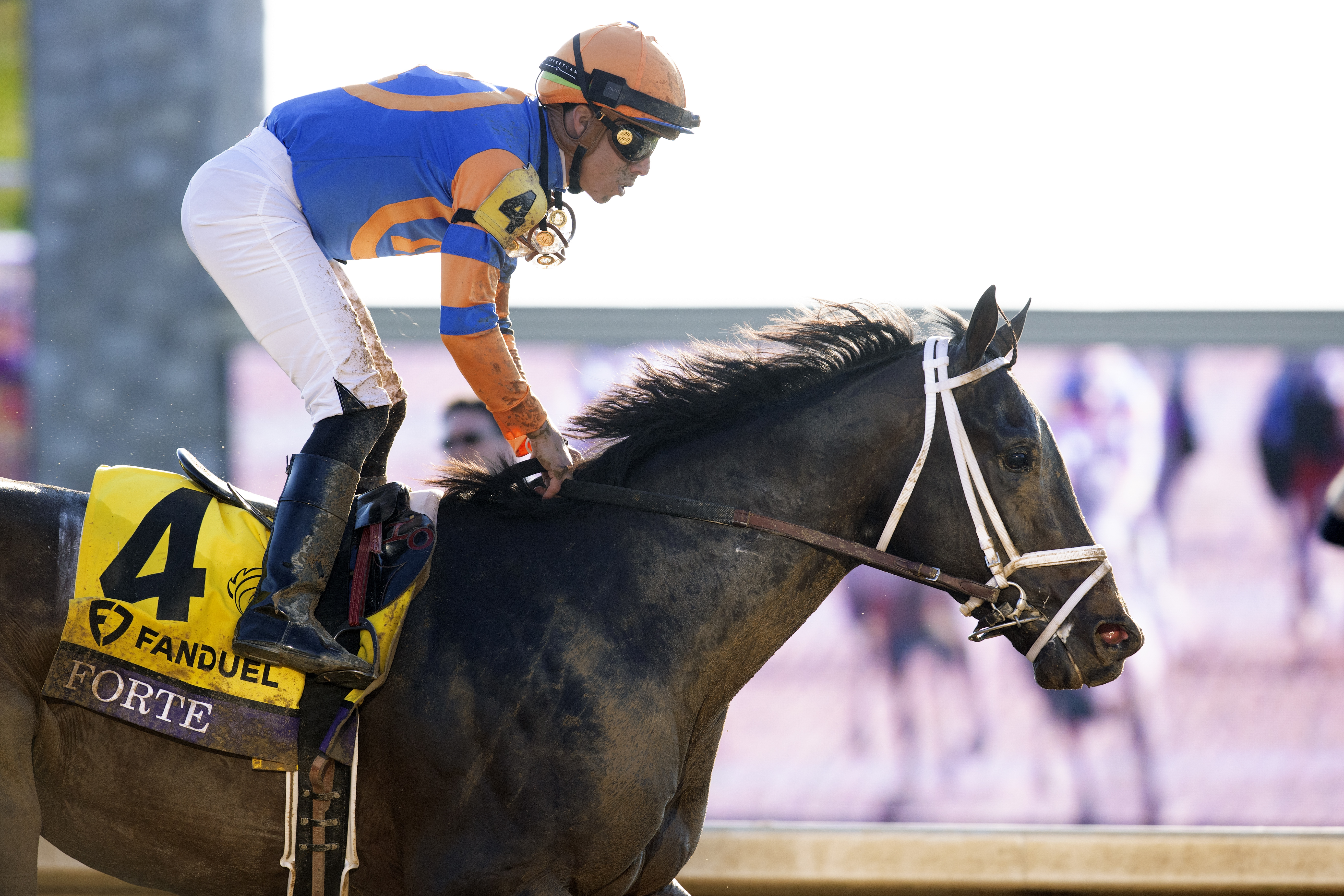 Forte/Eclipse Awards