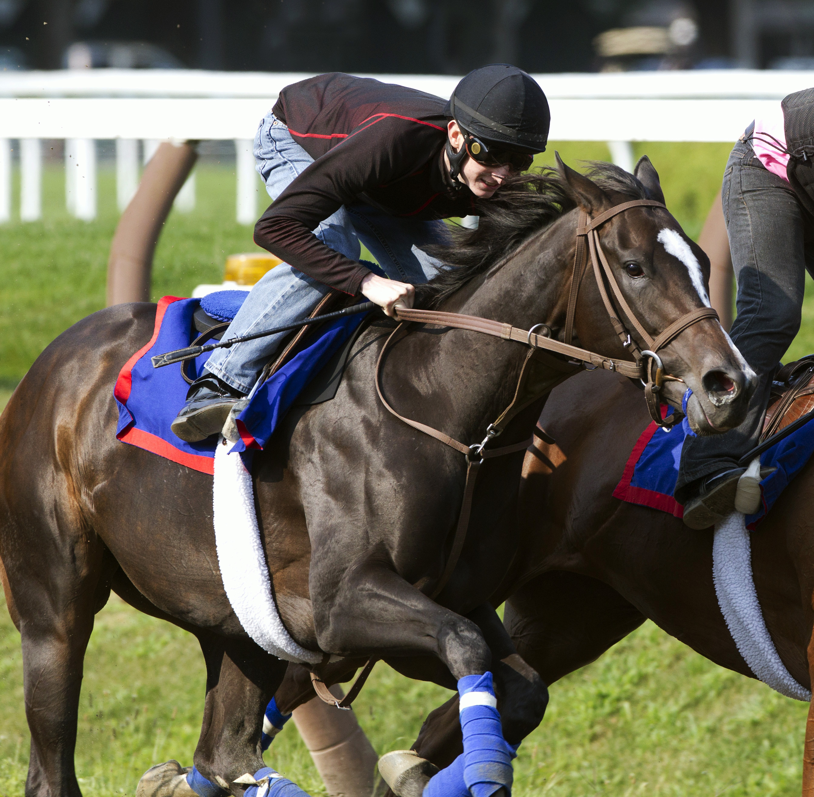 Fortune Pearl at Saratoga on July 25