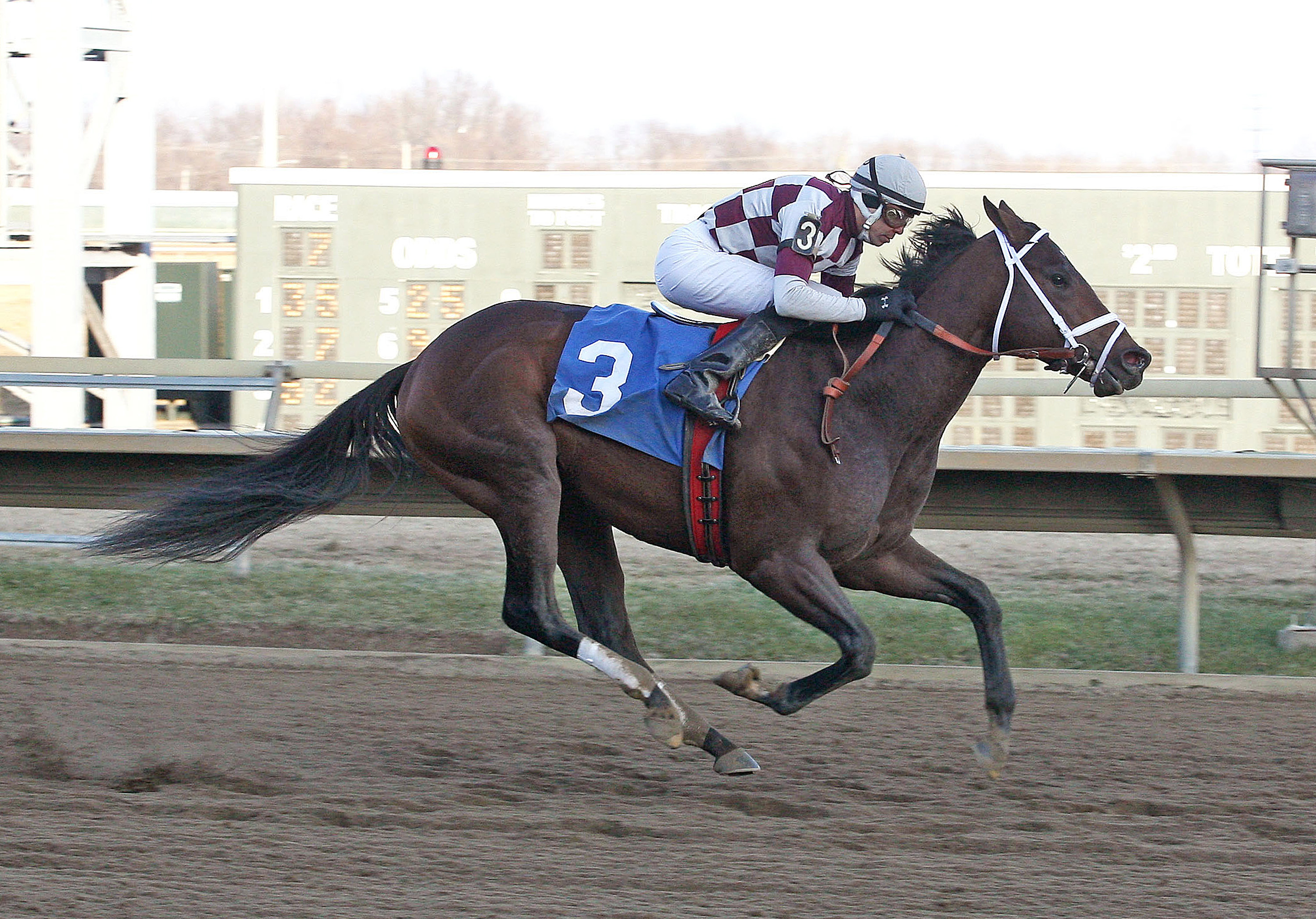 Byron King: Sam Davis key is to pick the right Canadian horse