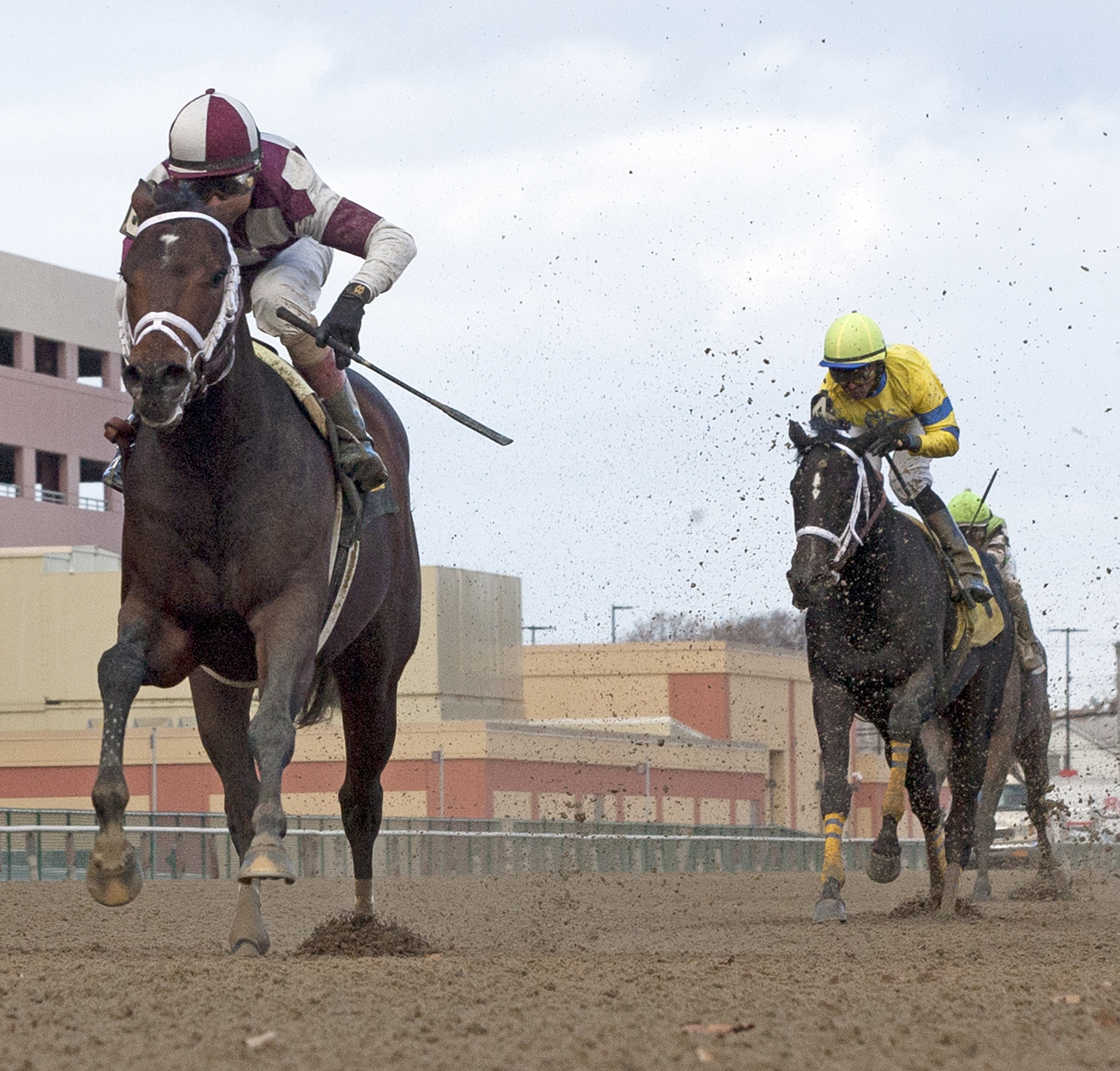 Forty Tales, maiden race