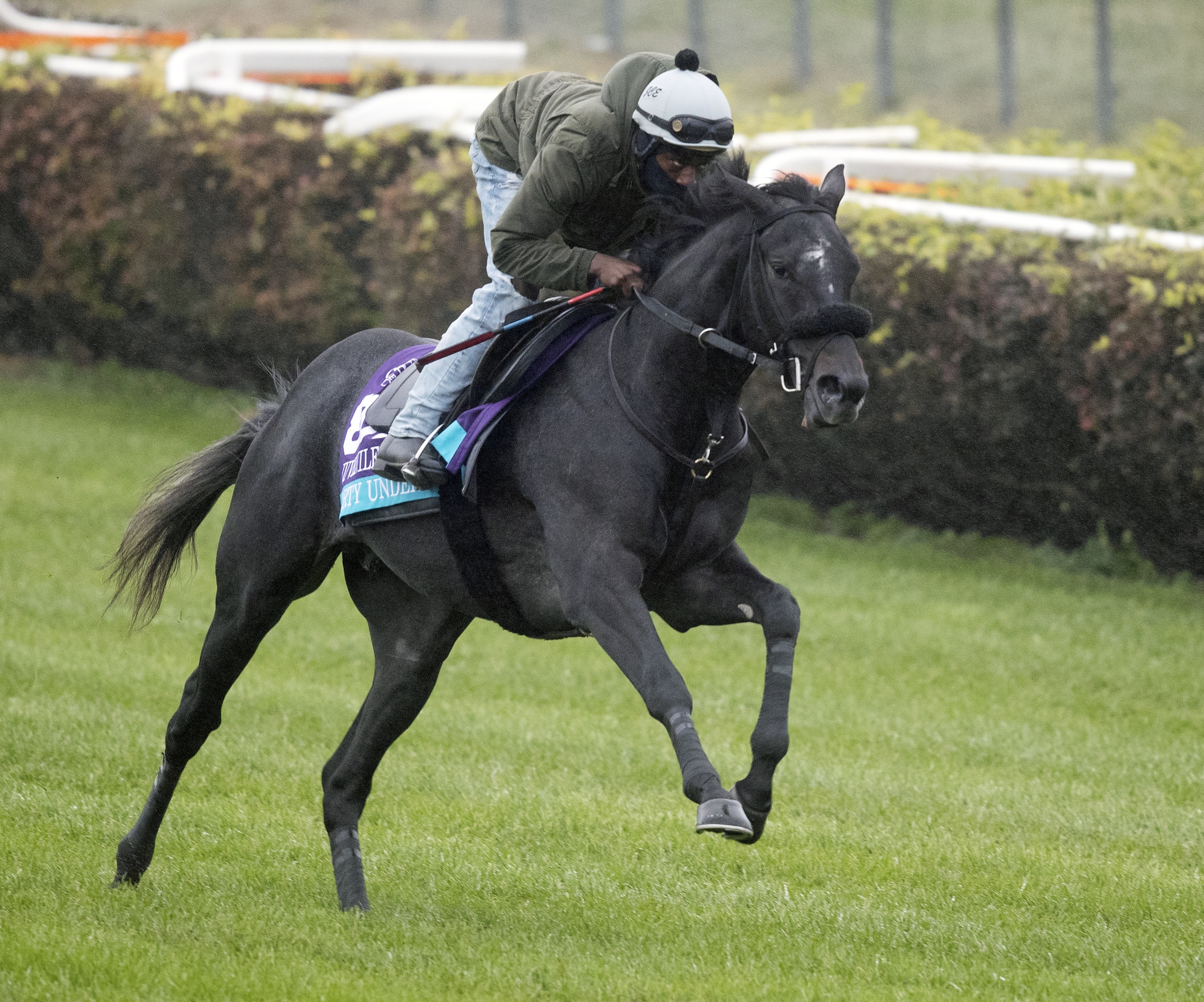 Forty Under works at Churchill Downs on 10.26.18