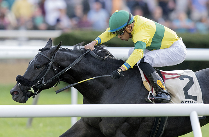 Forty Under wins the Pilgrim Stakes