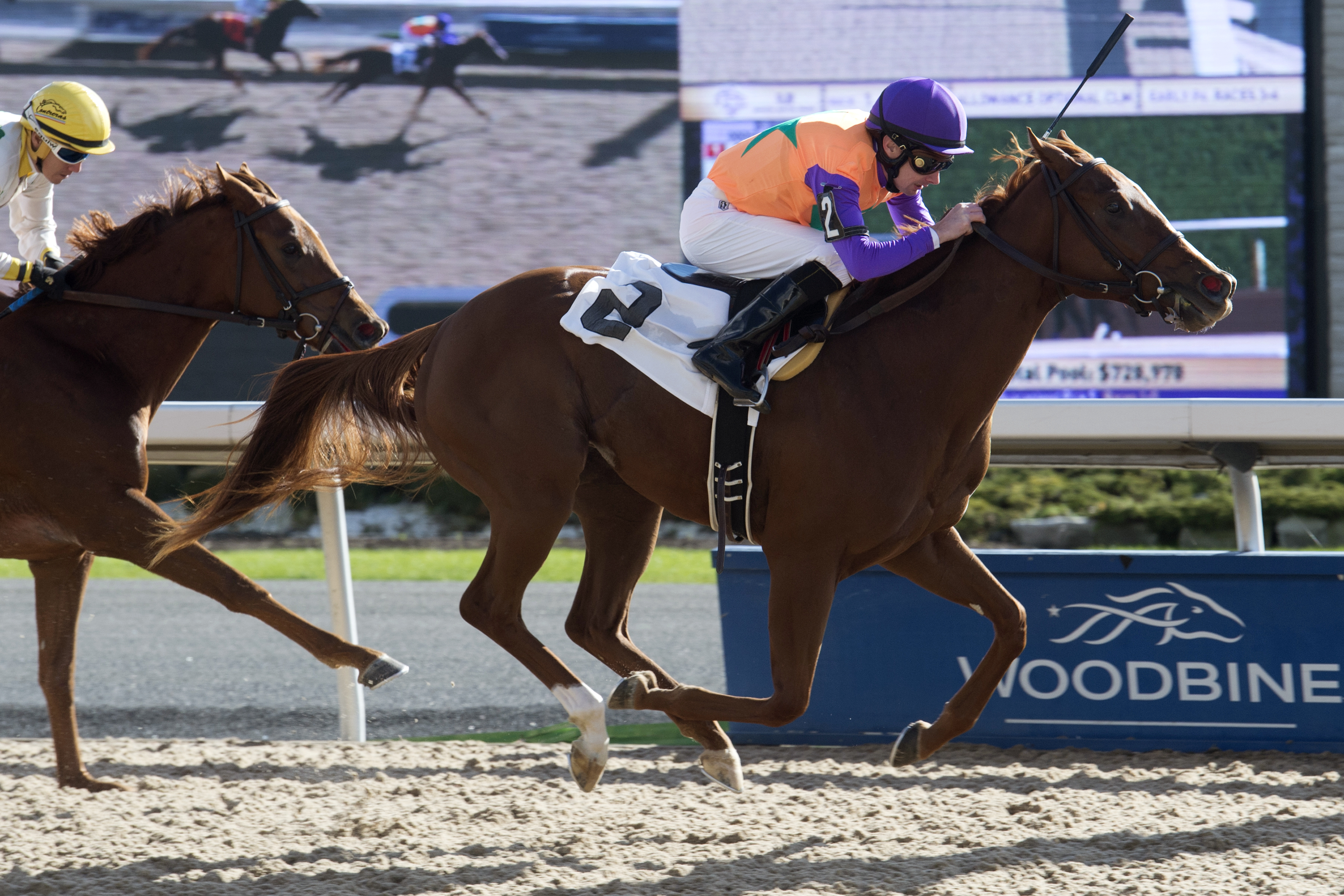 Forty's Sweetheart wins a claiming race