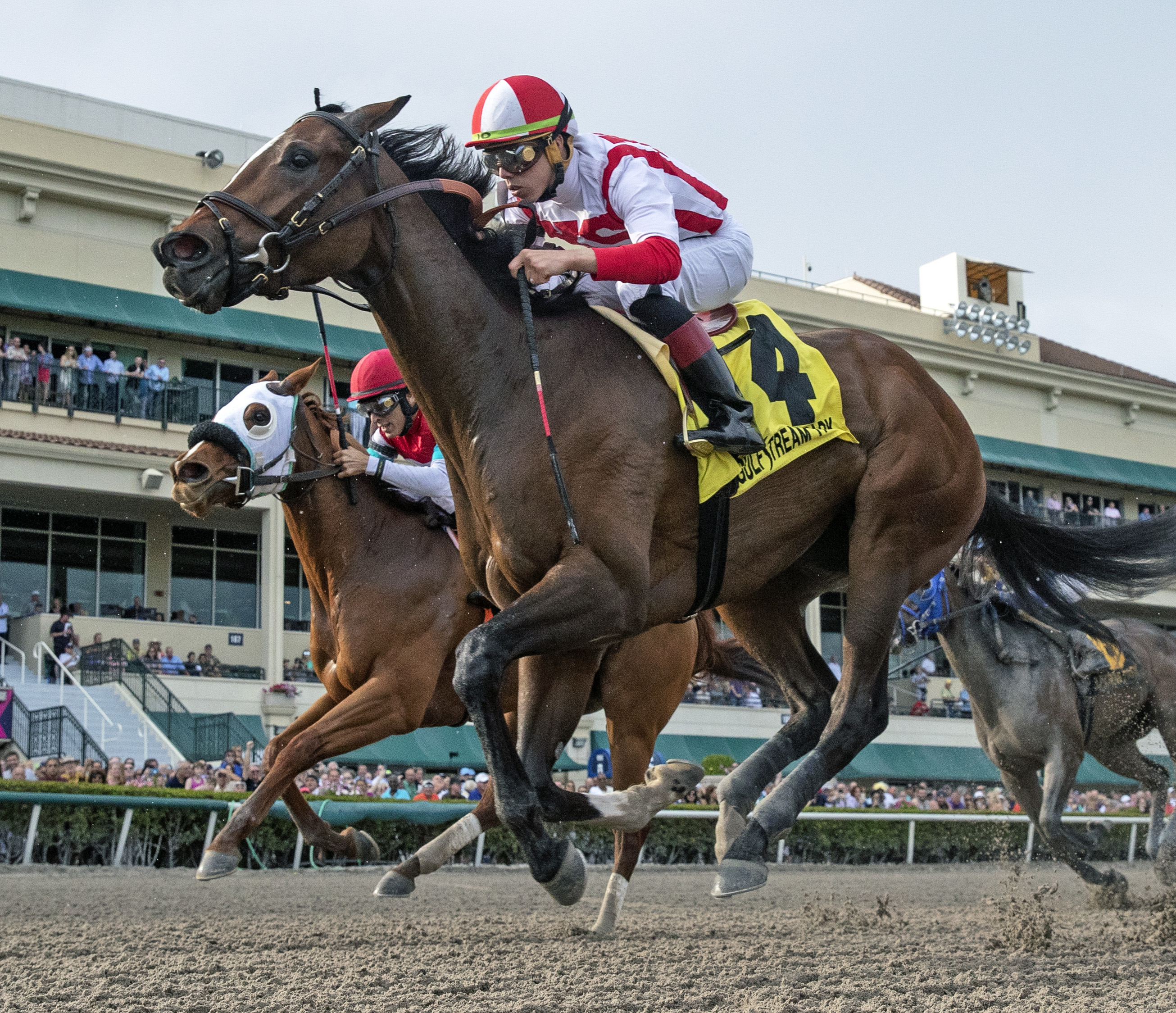 Feedback wins 2019 Forward Gal